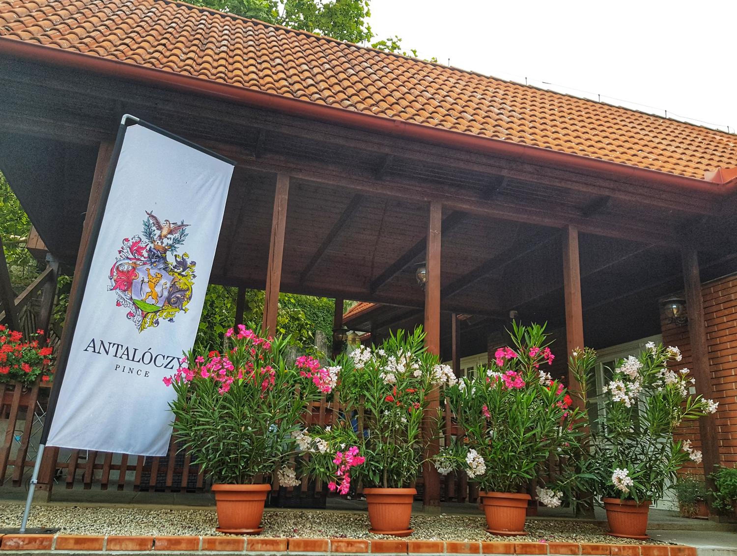 Antalóczy Winery&Apartments