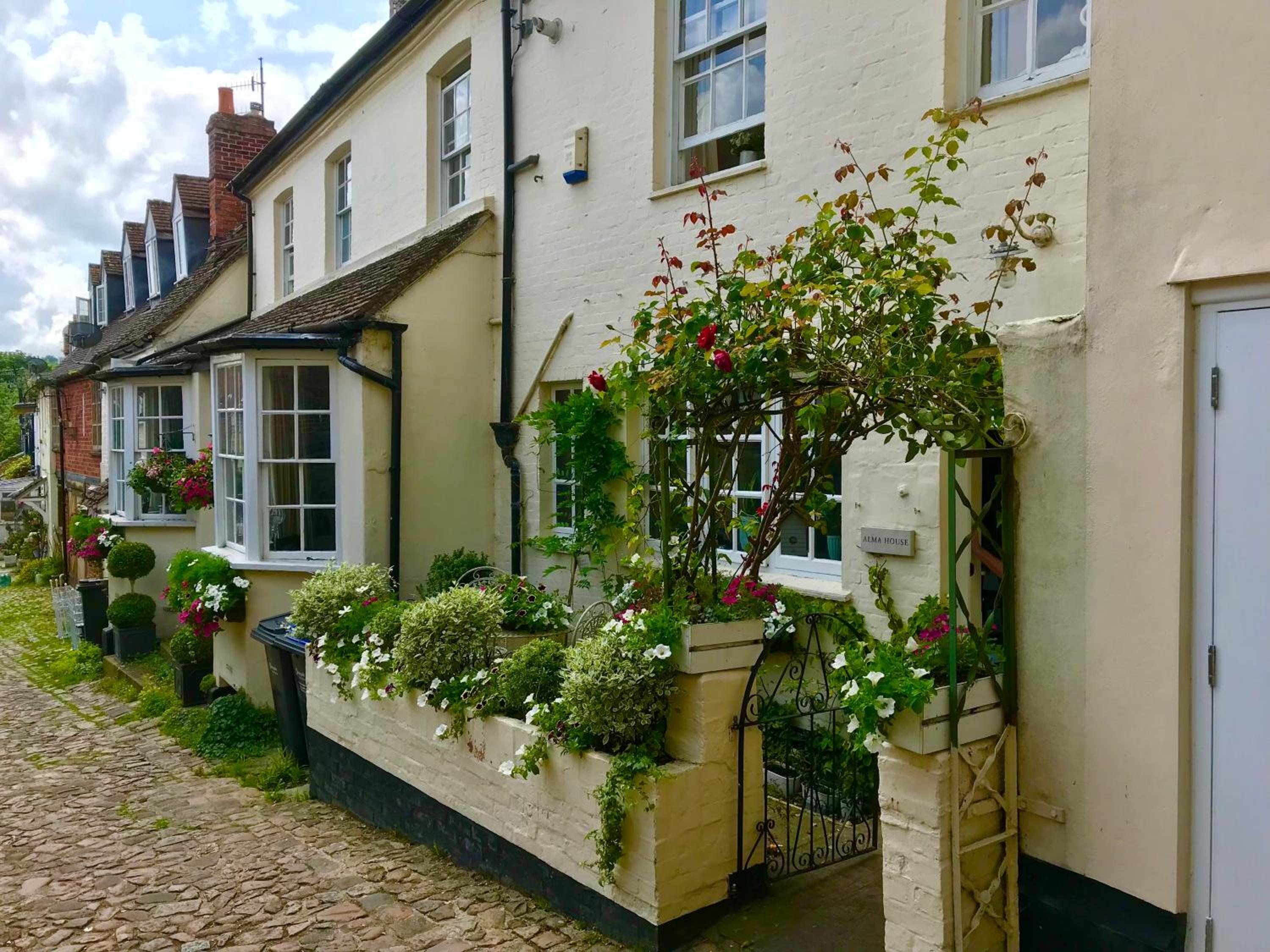 Marlborough Vacations - Alma House - Property Image 14