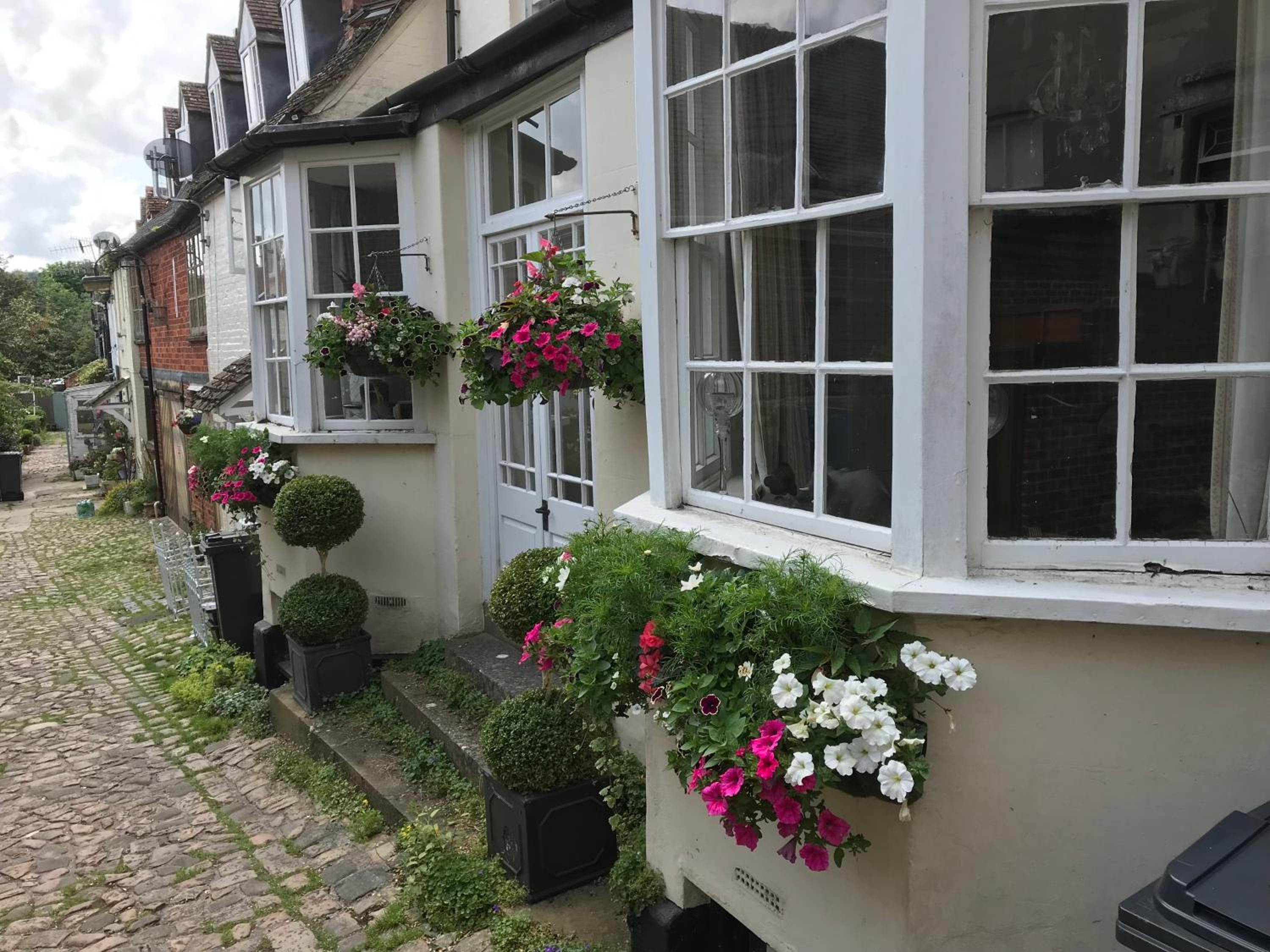 Marlborough Vacations - Alma House - Property Image 2