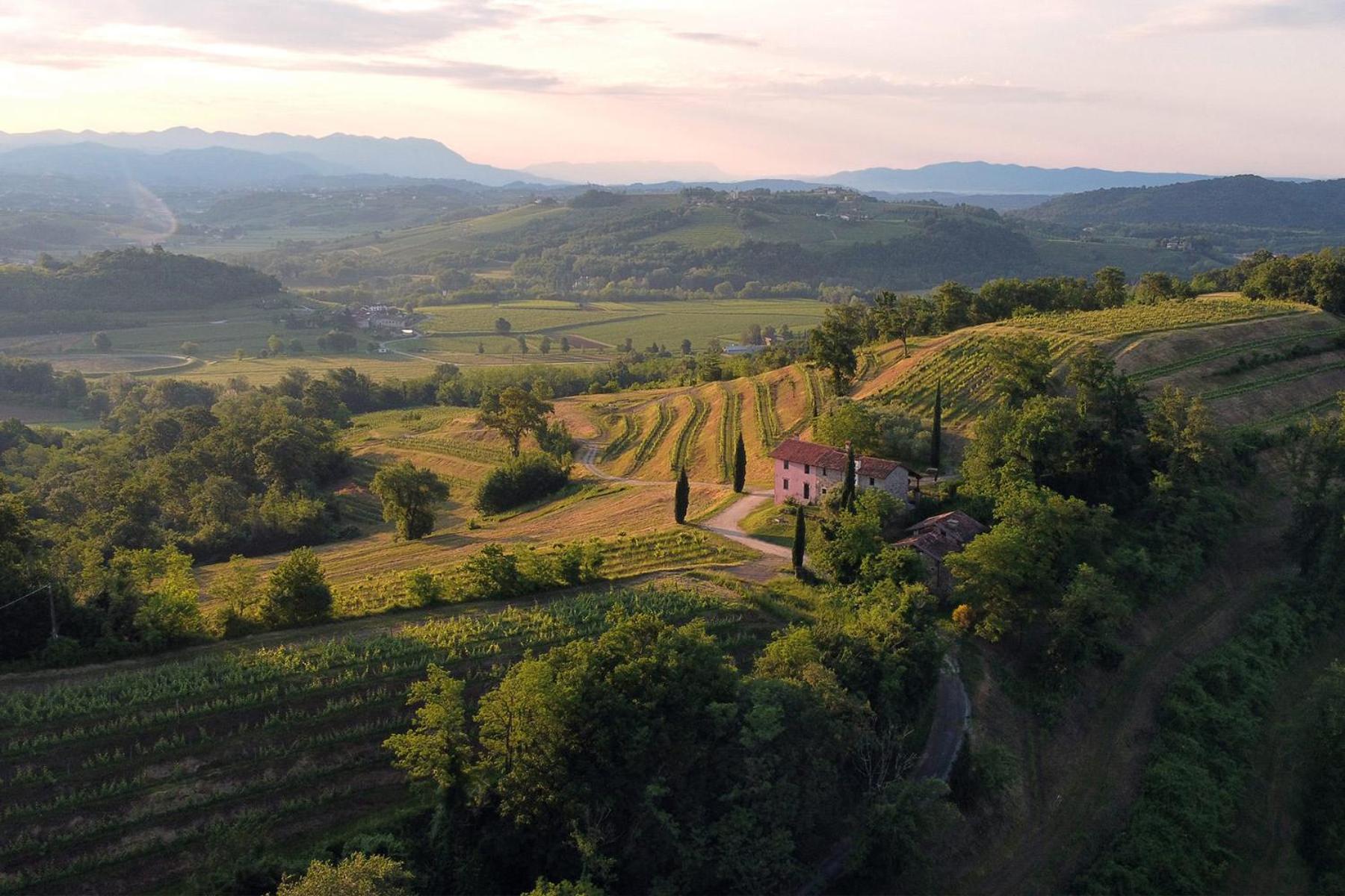 Tenuta Perusini