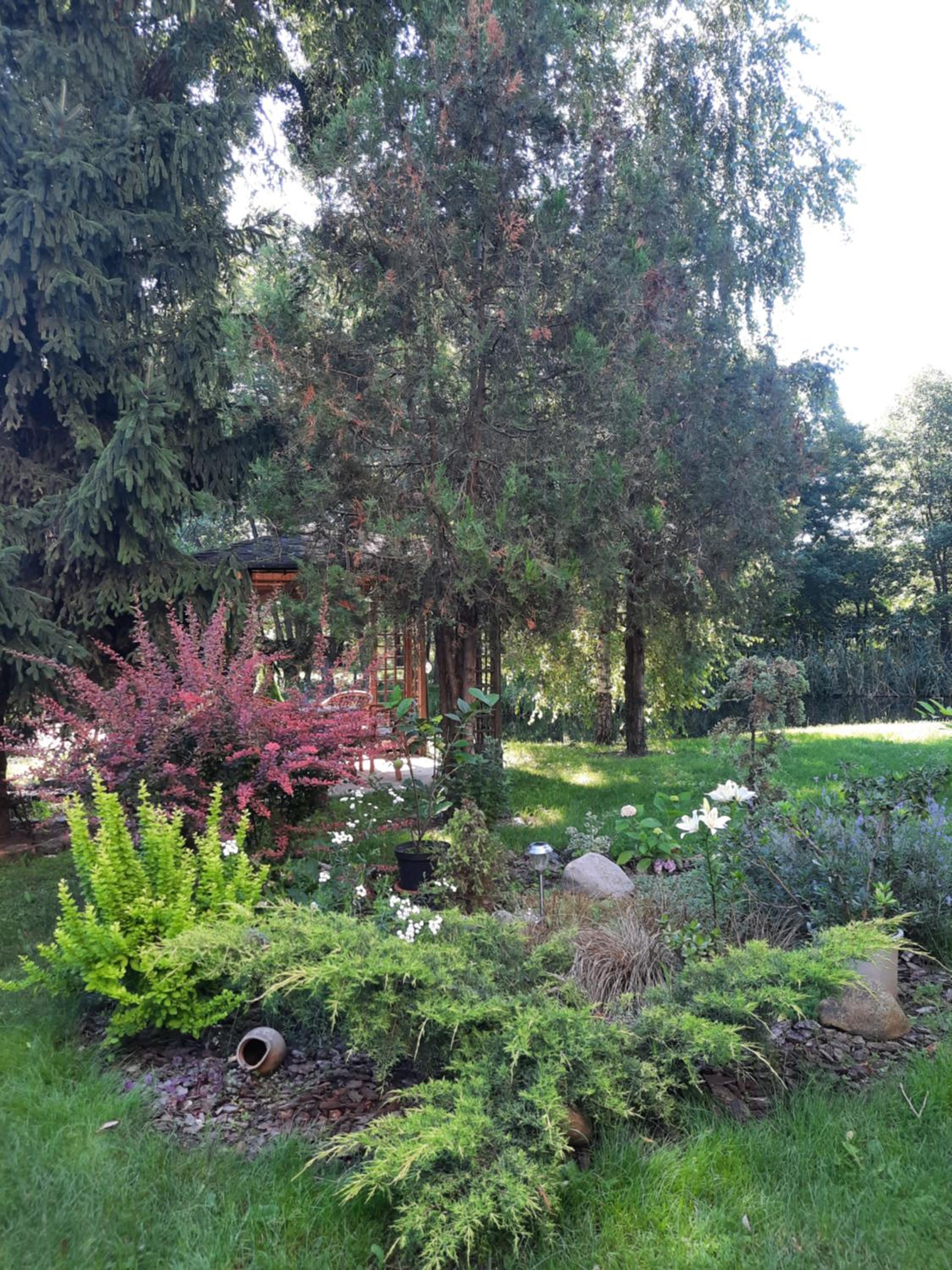 Photo 32