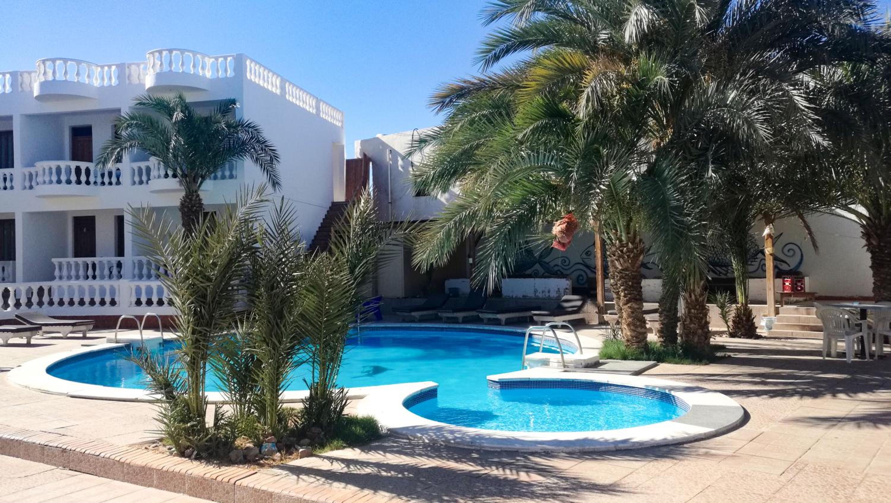 Octopus Hotel