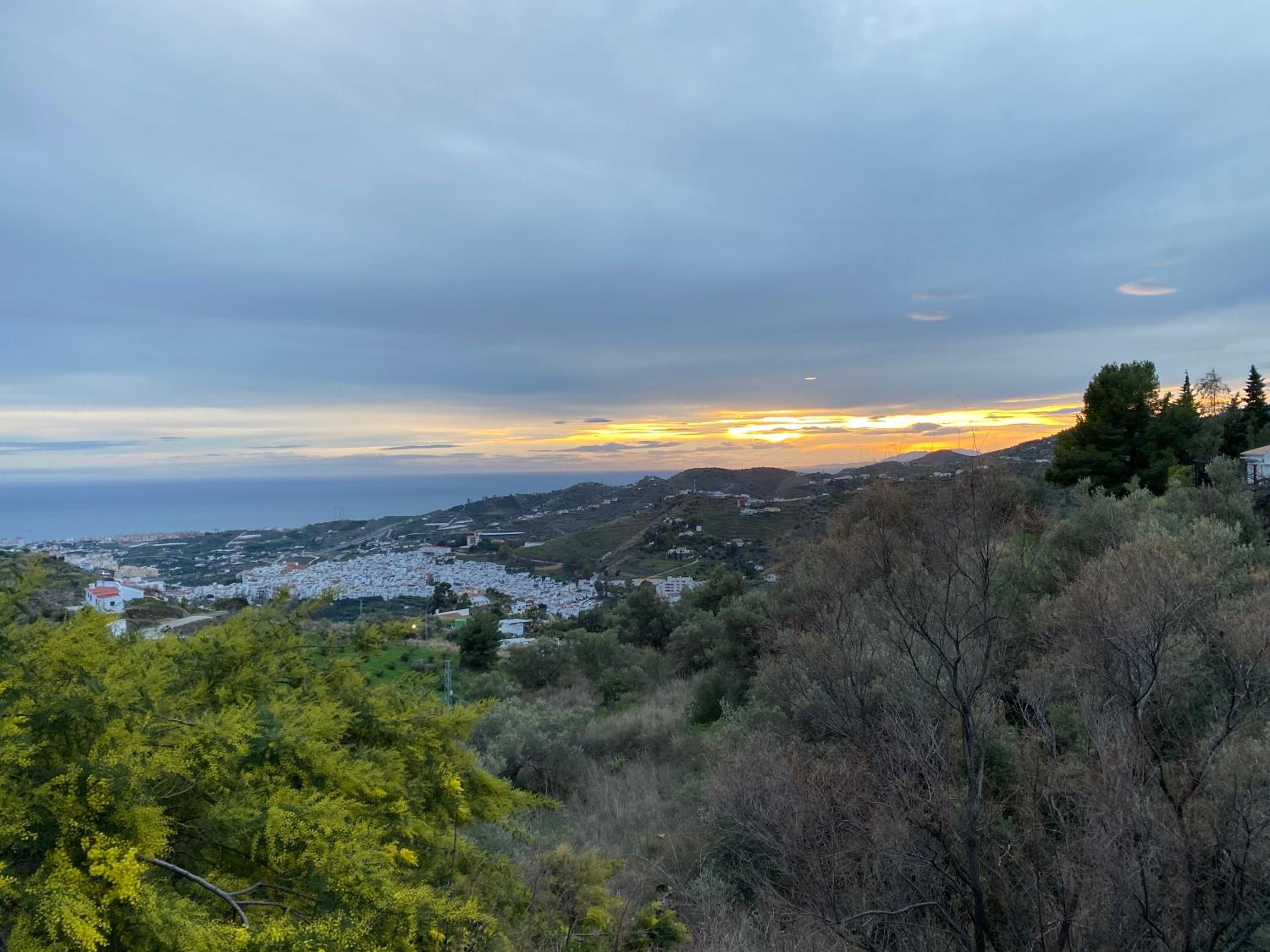 LA HIGUERA photo 5