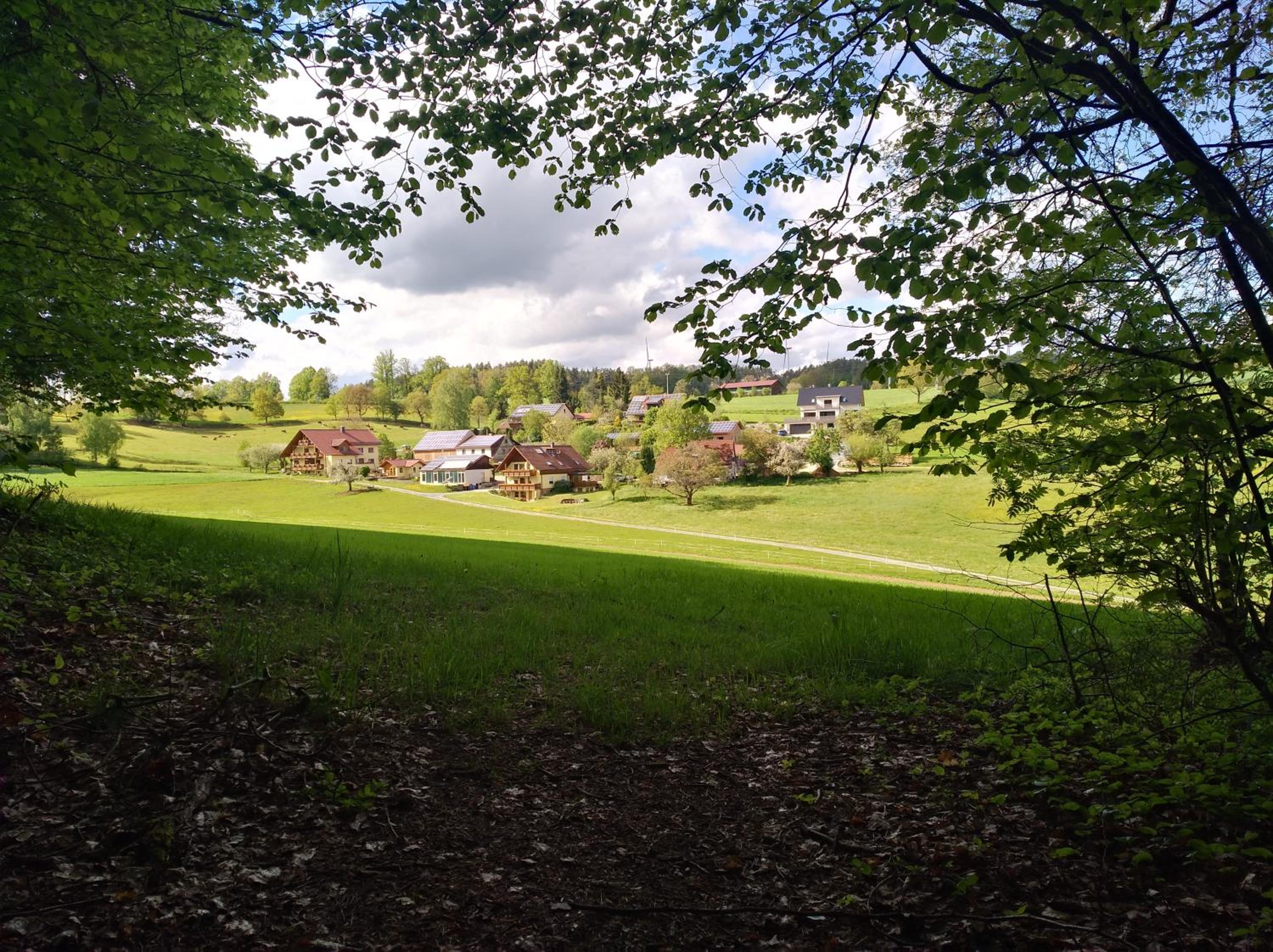 Photo 15