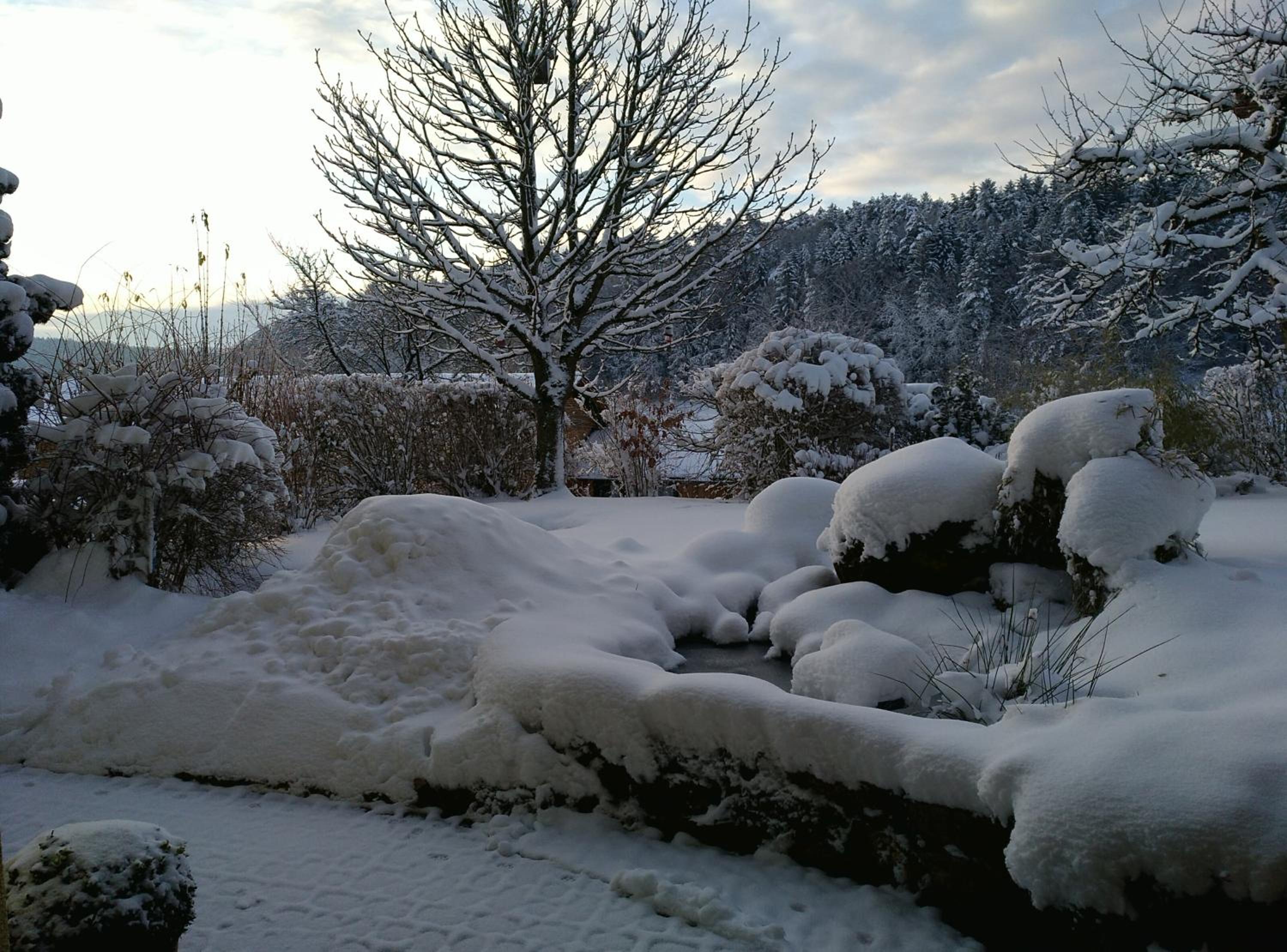 Photo 10