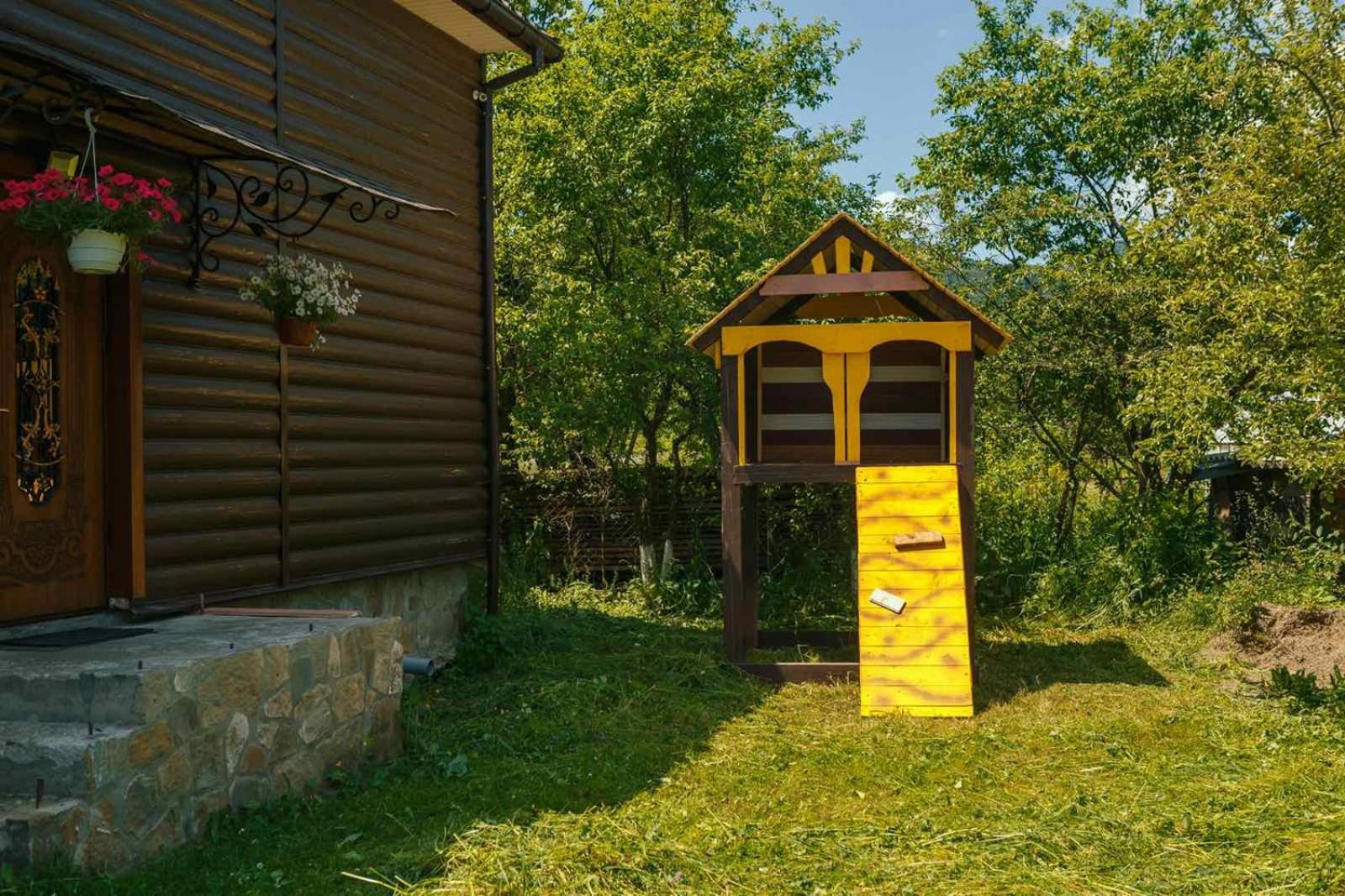 Під соснами view 4