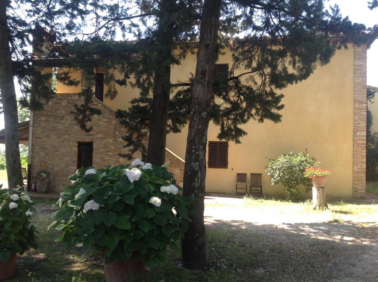 Photo 32