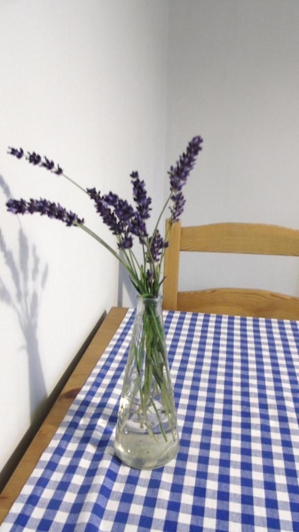 Apartament Aleksander, photo 13