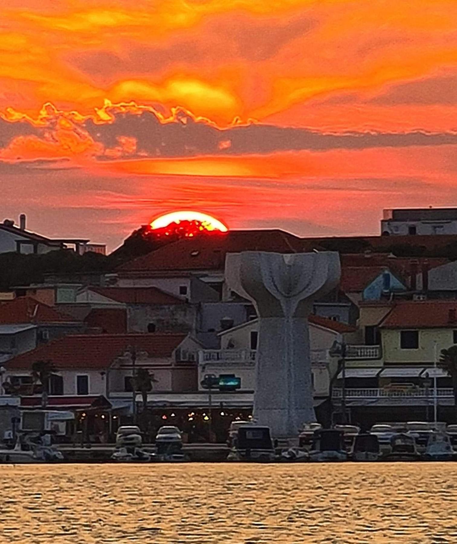Mladen Vodice