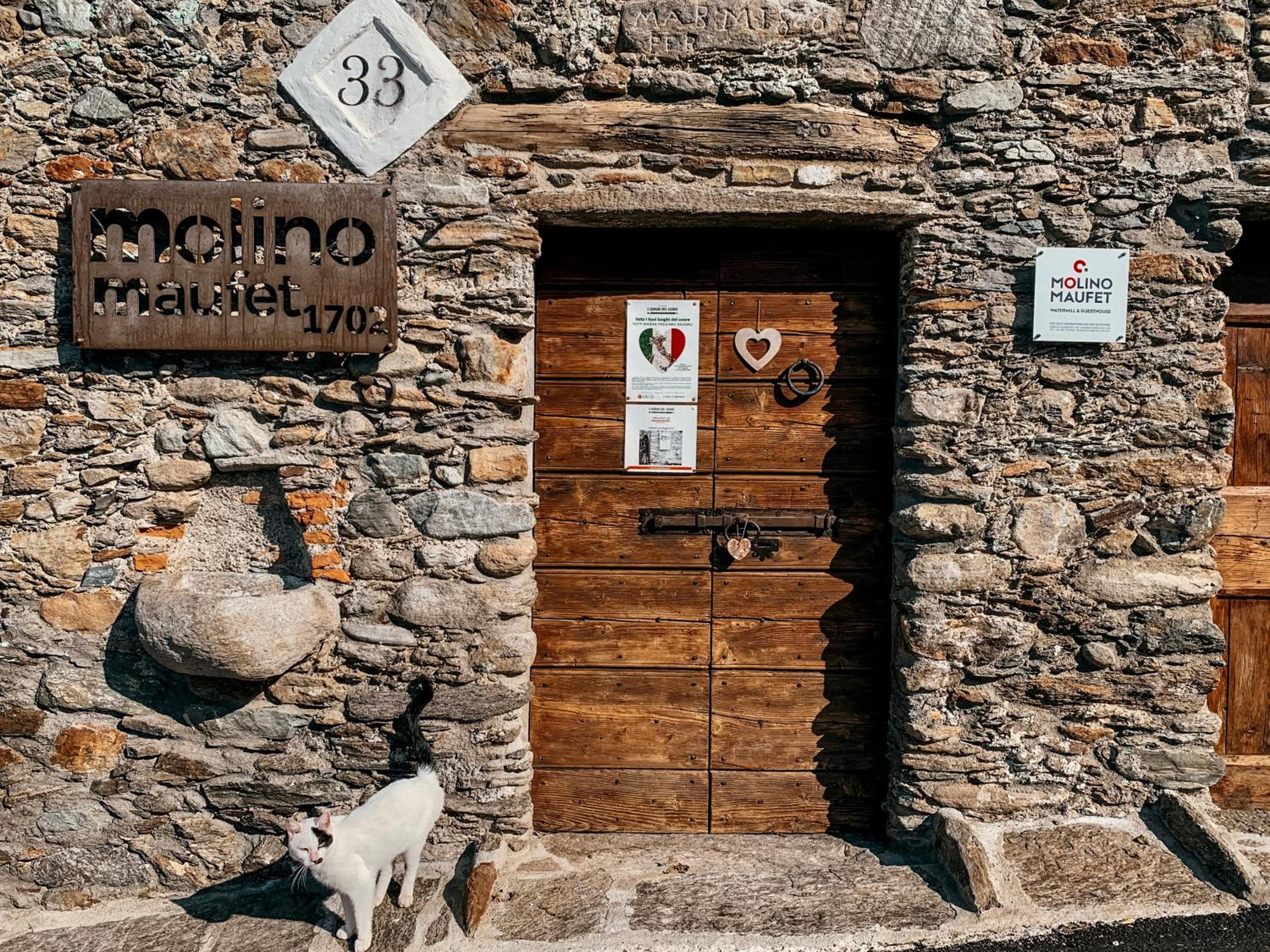 Photo 23