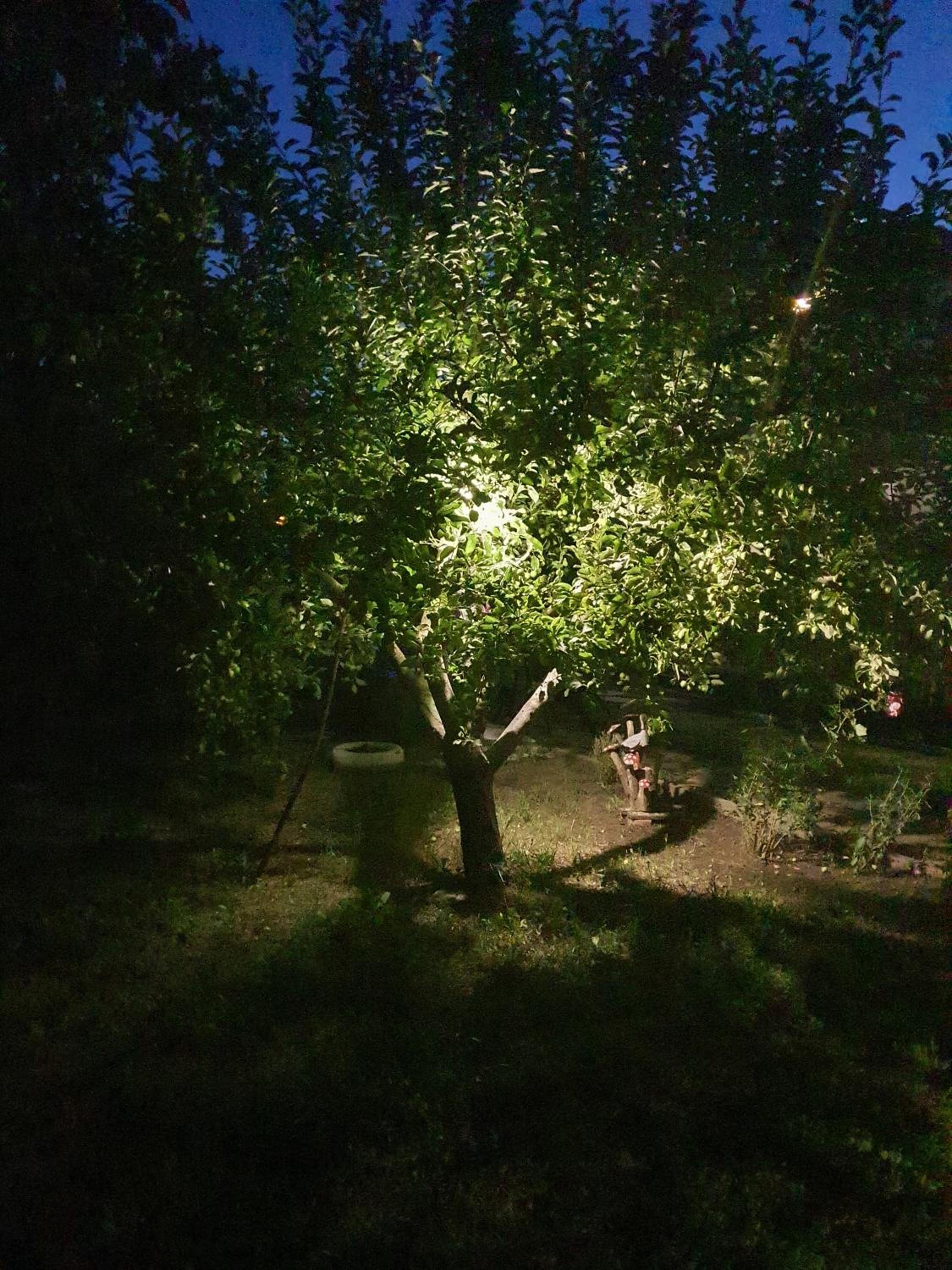 Photo 59