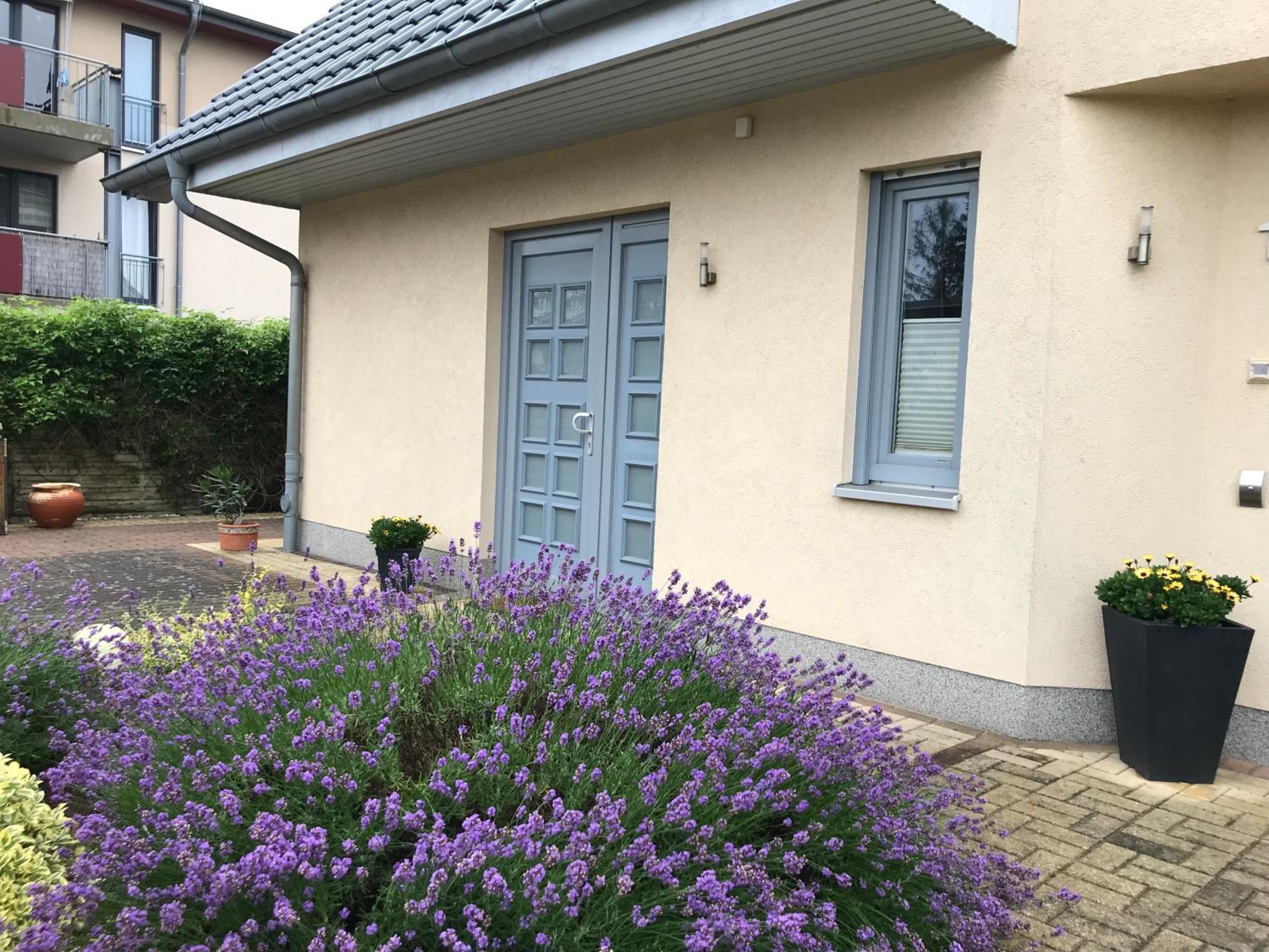 Ferienwohnung „Am Birkenhain“ view 2