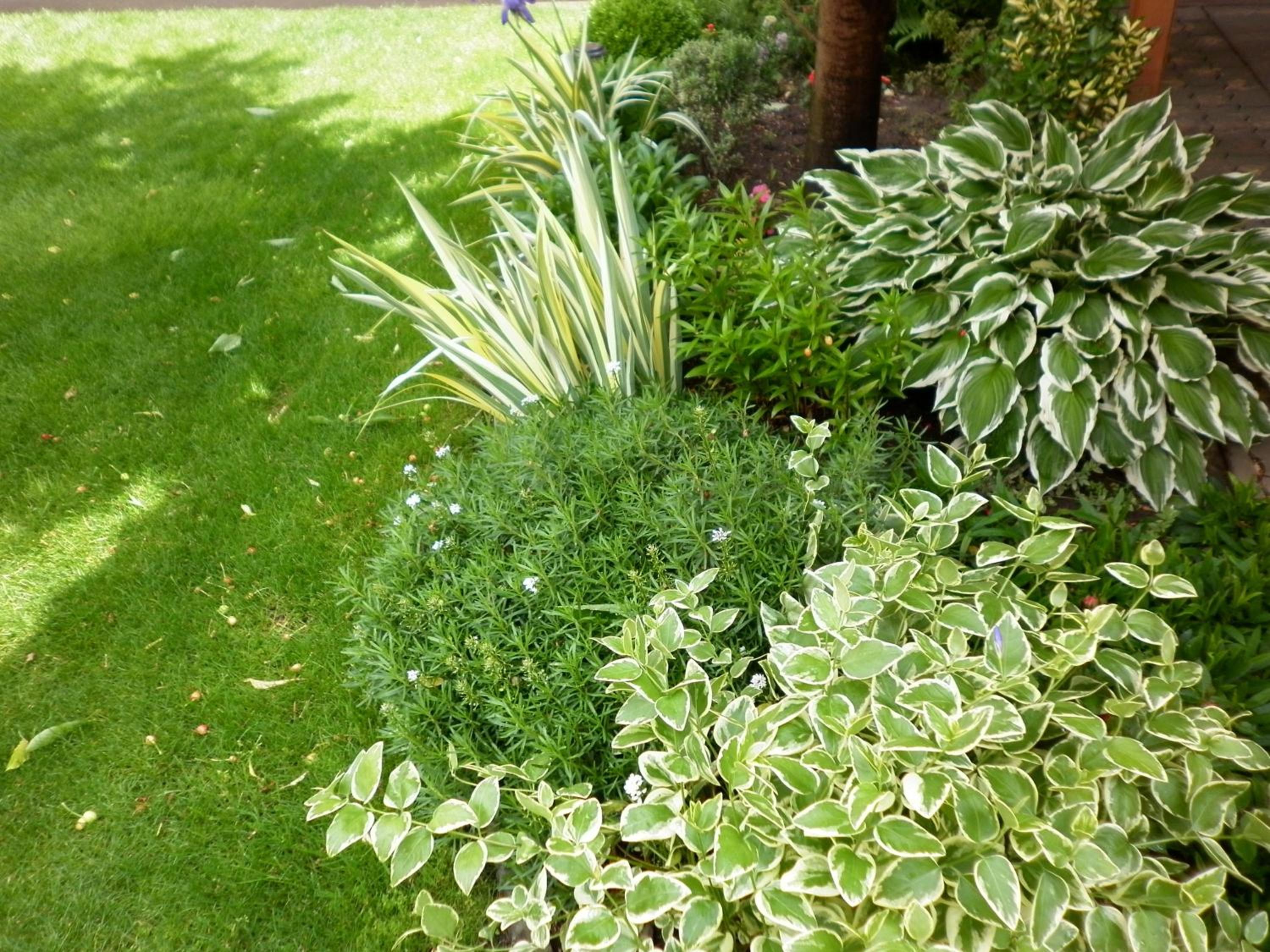 Photo 38