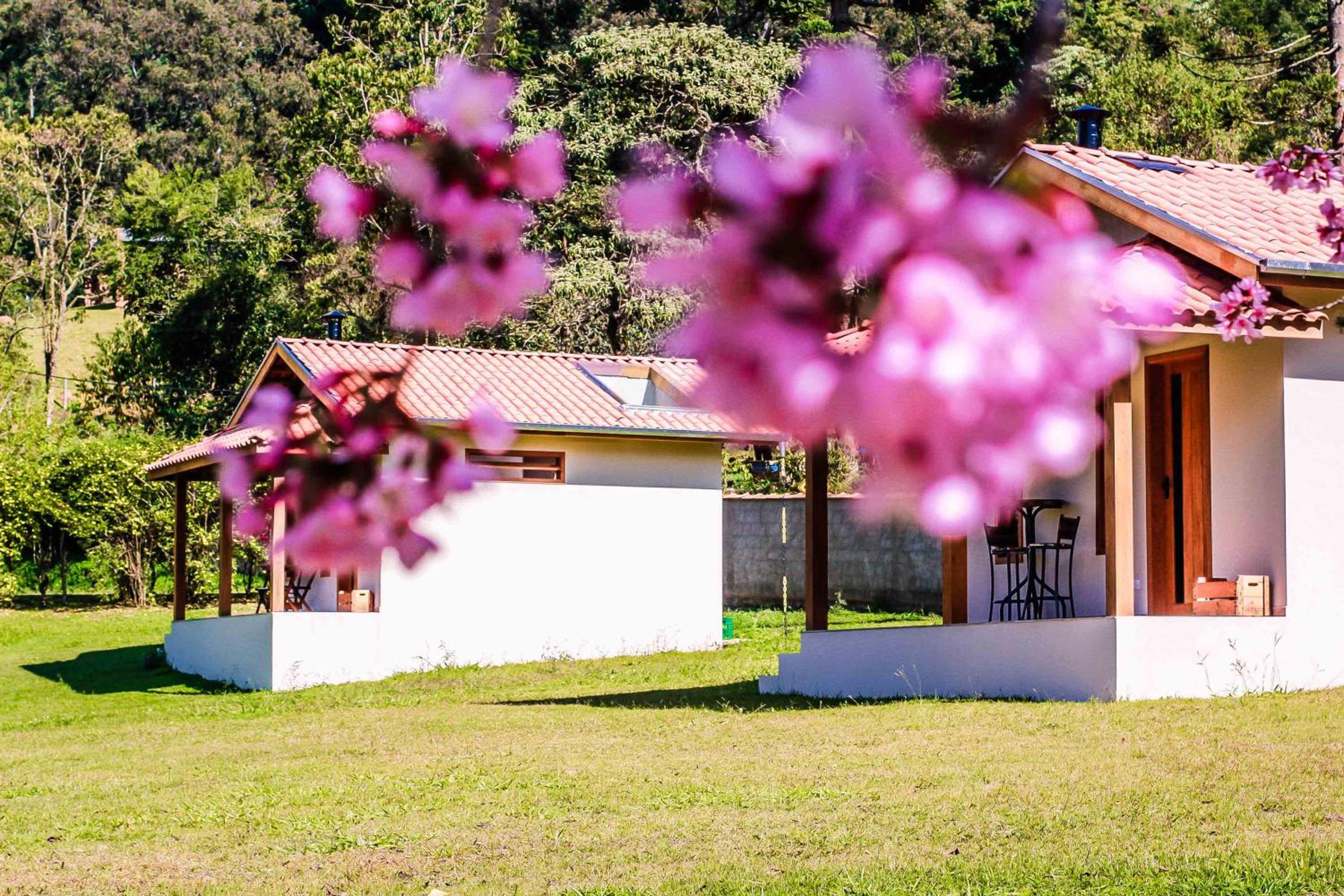 Pousada das Flores view 5
