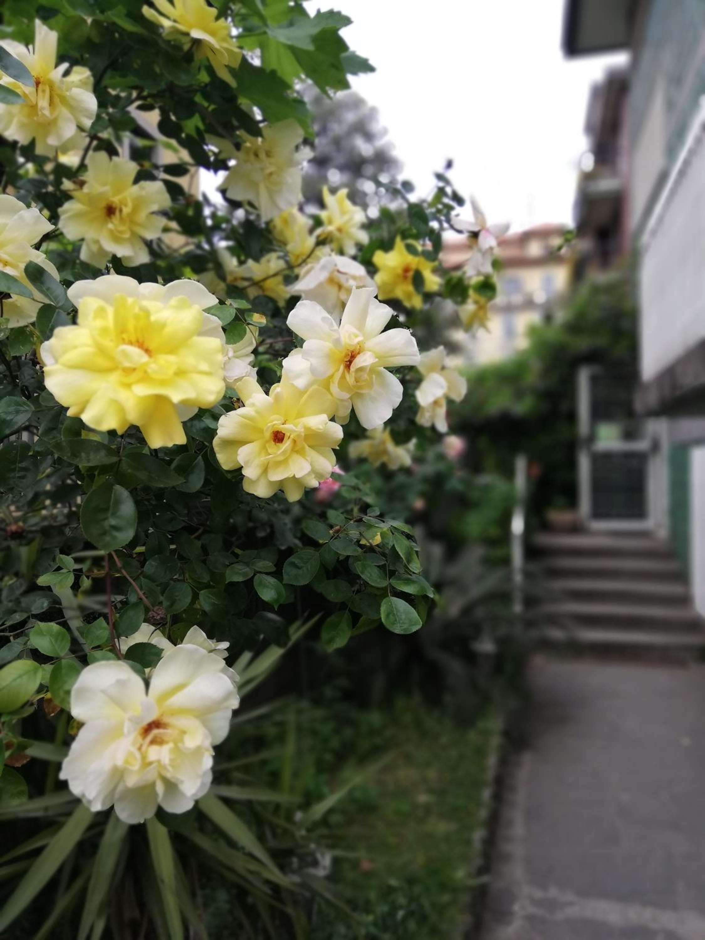 Villamelchiorre 1