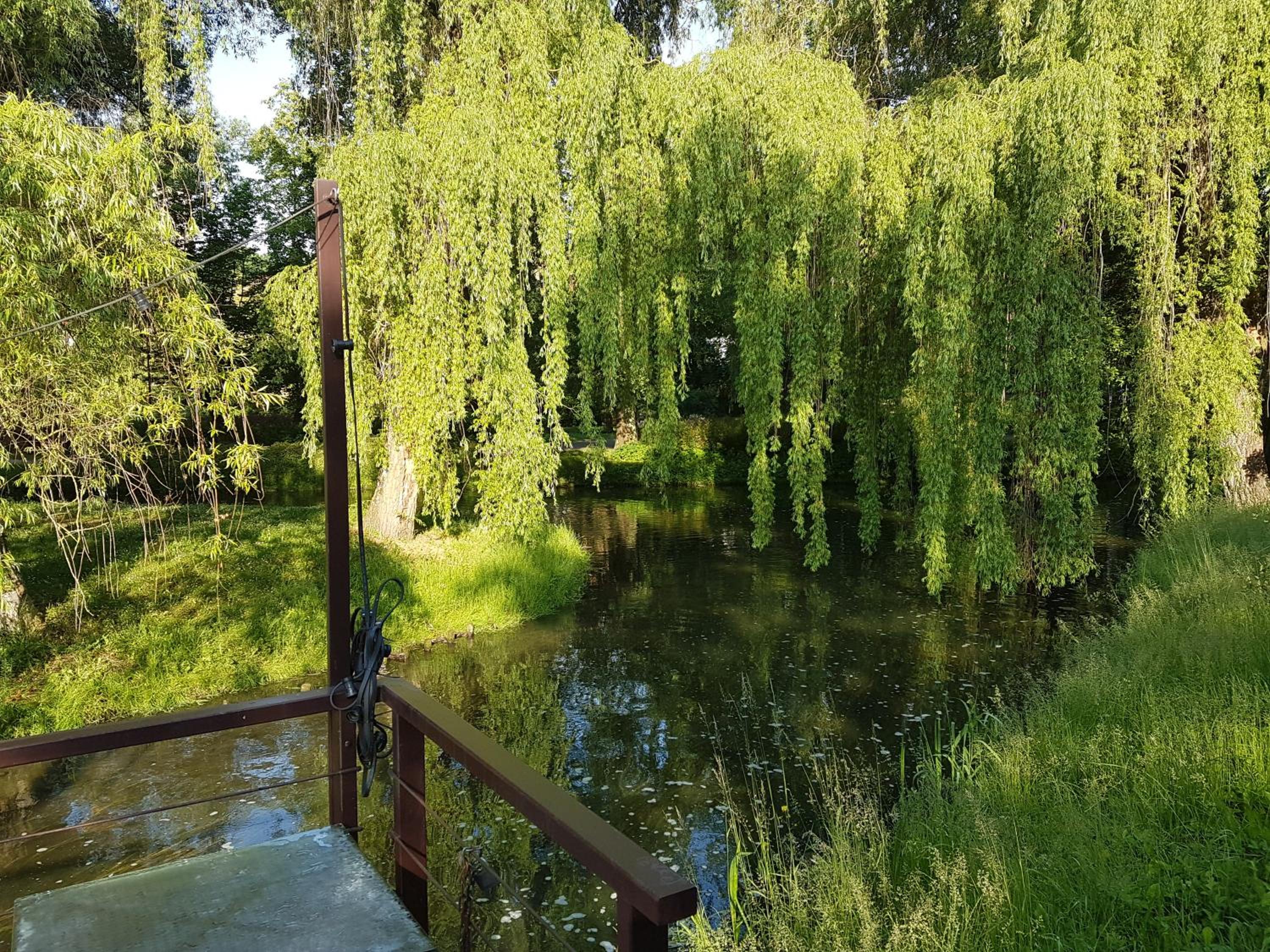 Photo 25
