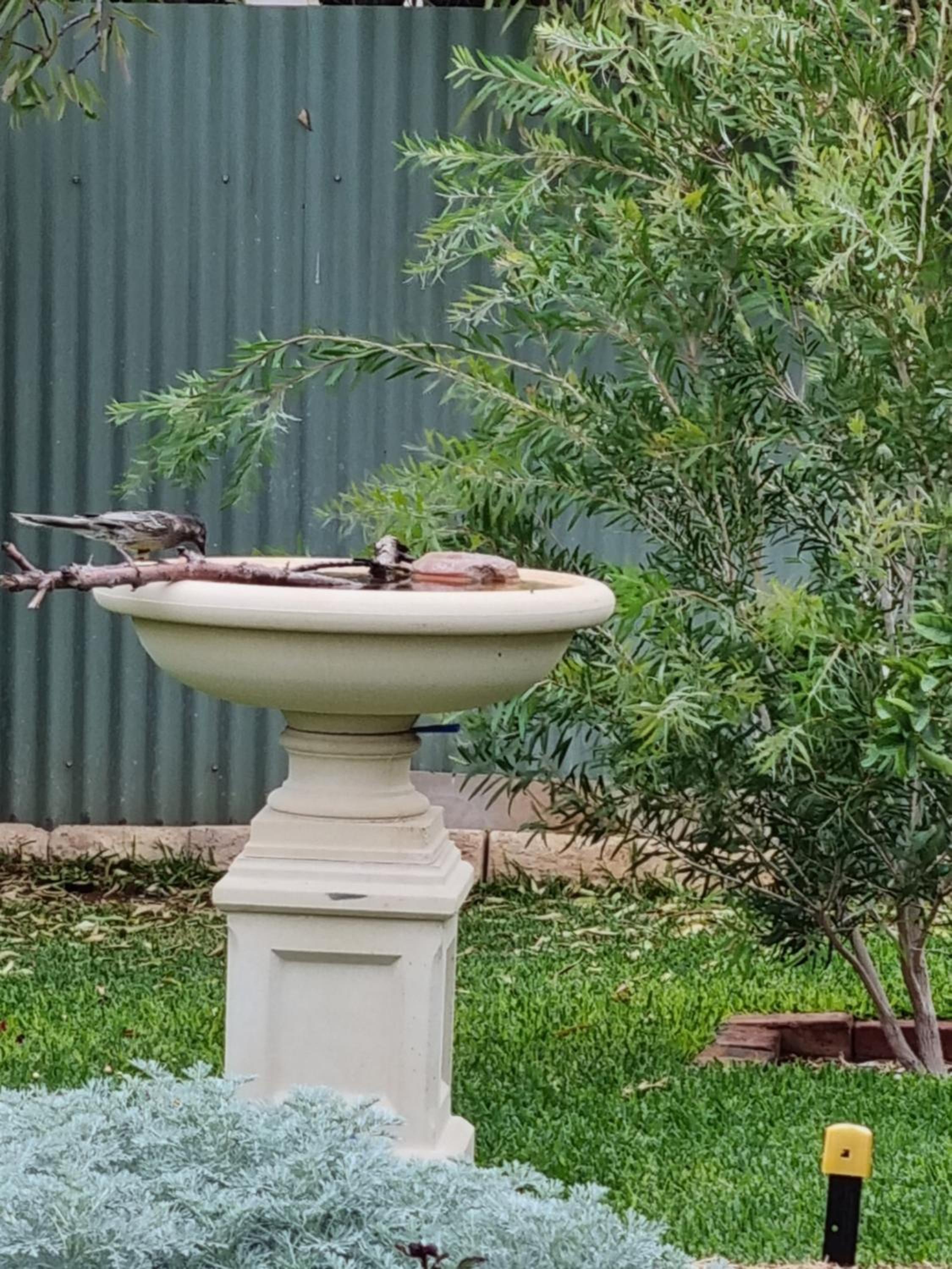 Allora House Kalgoorlie