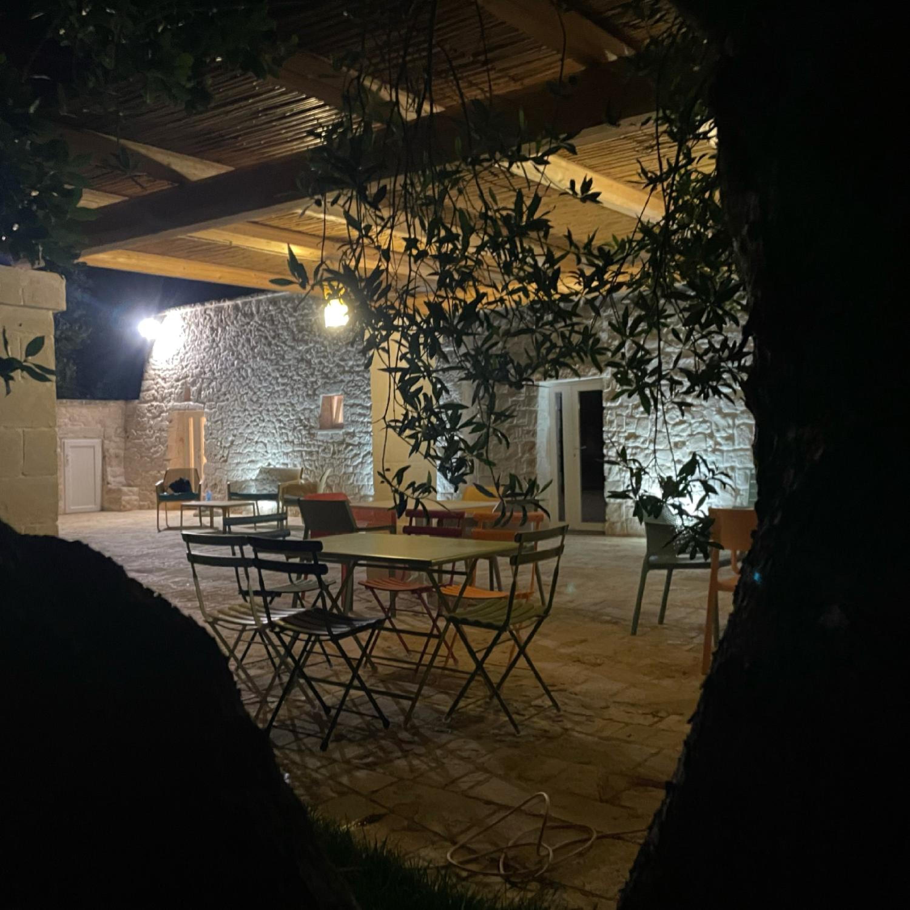 Photo 21