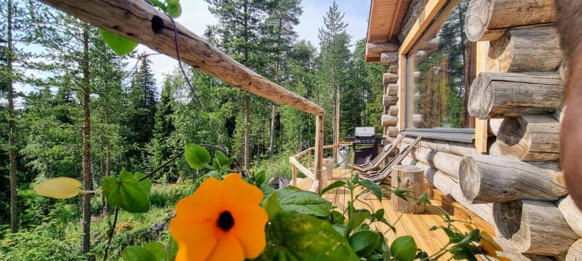 Log Cabin with Private Sauna & Hot Tub by Invisible Forest Lodge - Adults Only view 4
