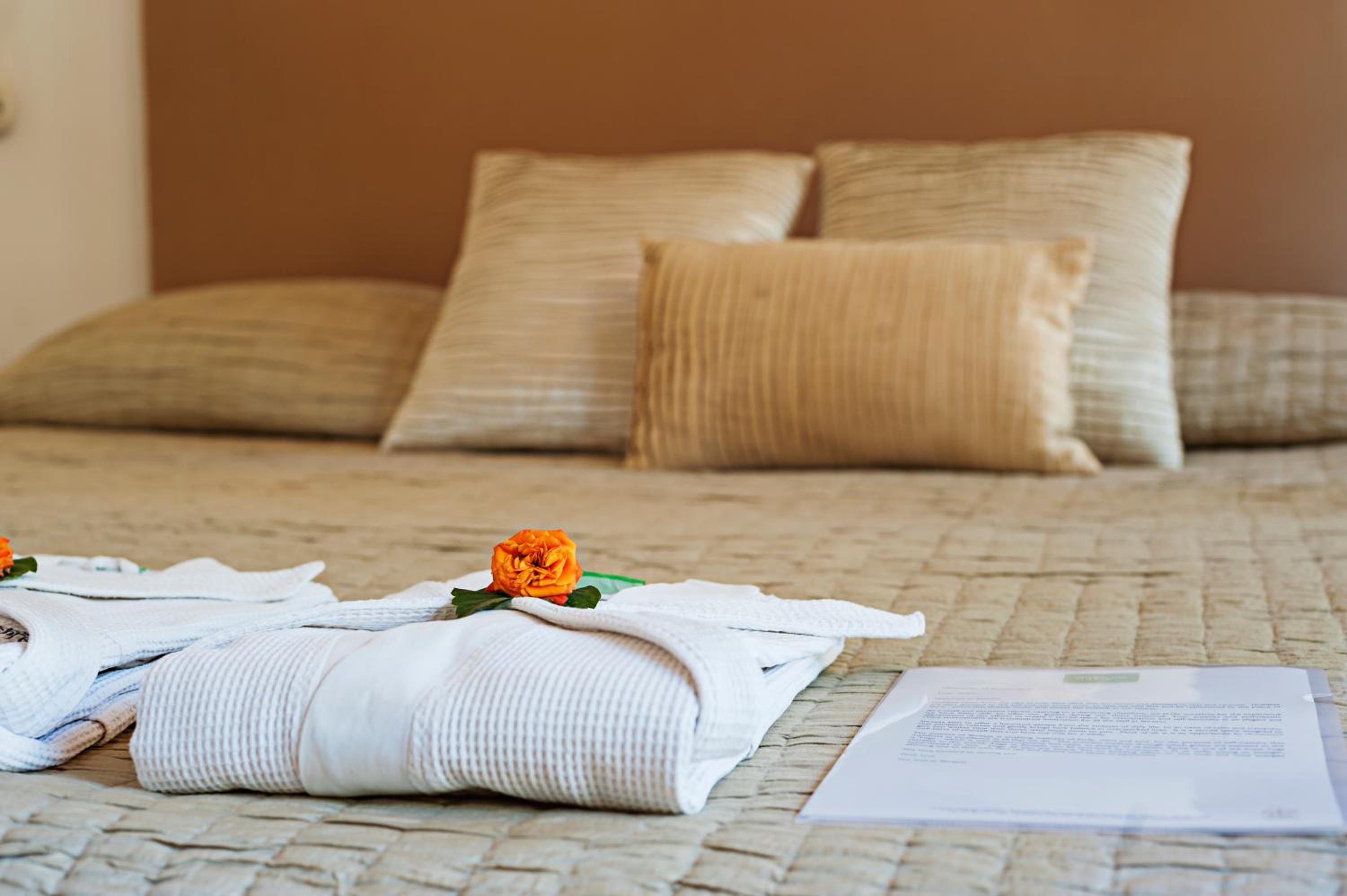 Shreyas Retreat
