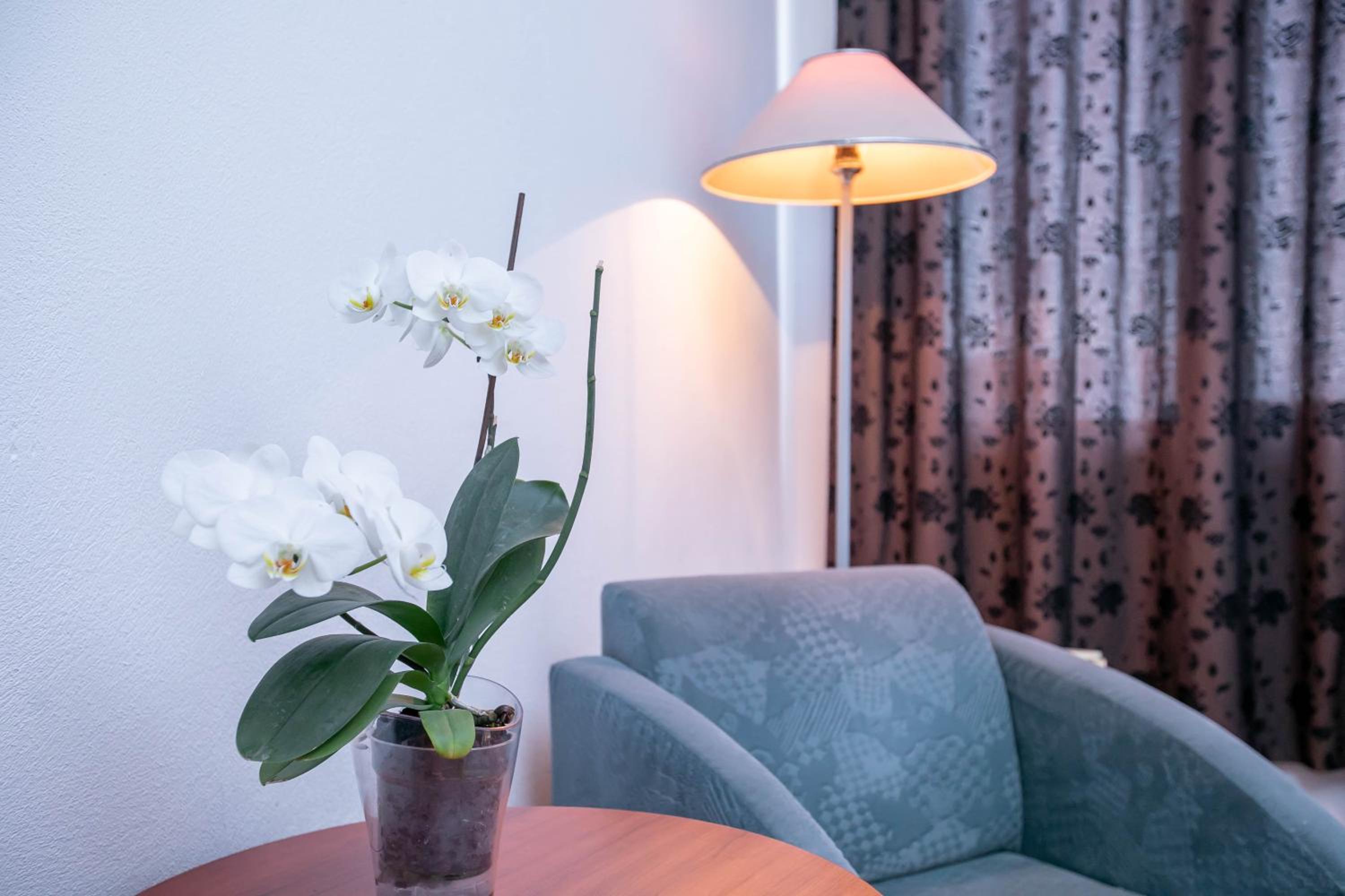 Family Hotel Ambrozia