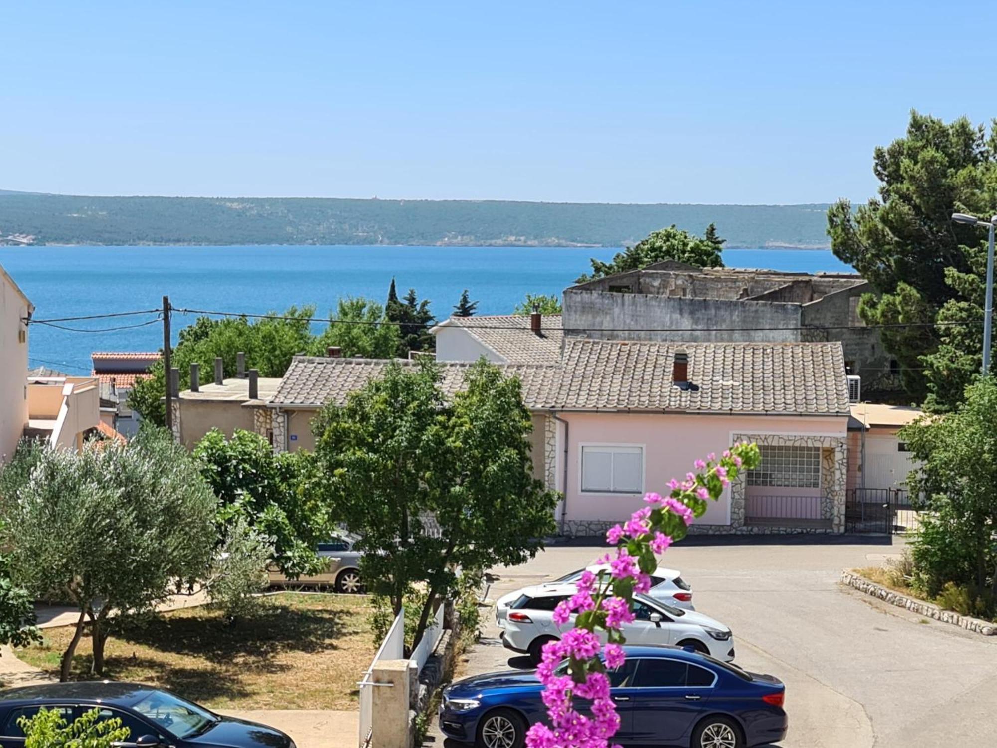 Maslenica-Bougainvillea