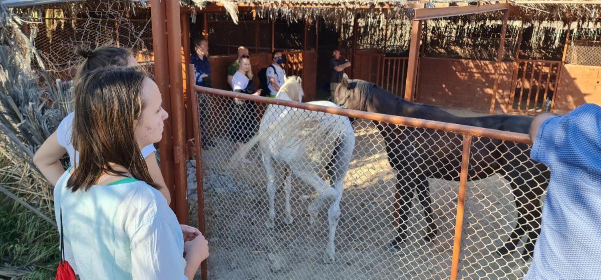 Hatta Art Hub Farm