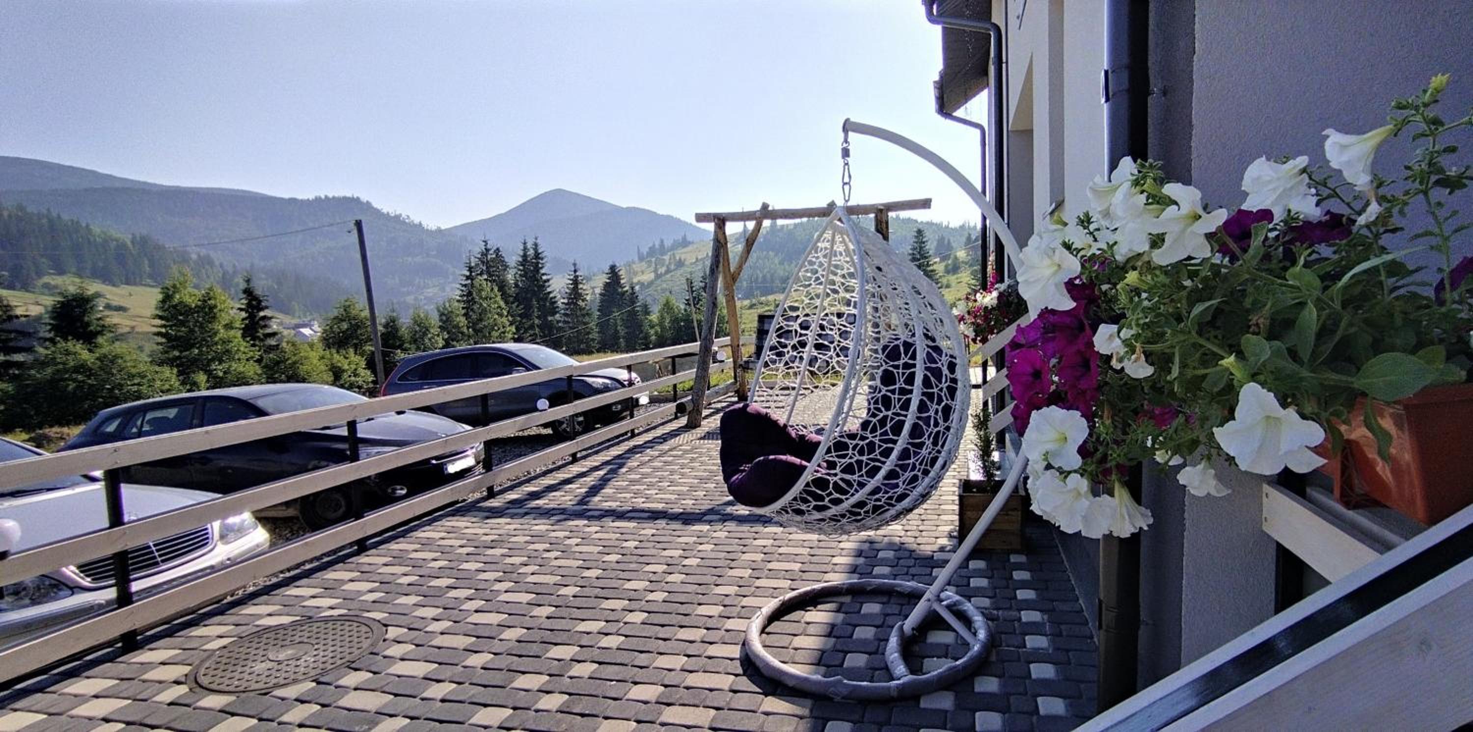 Photo 6