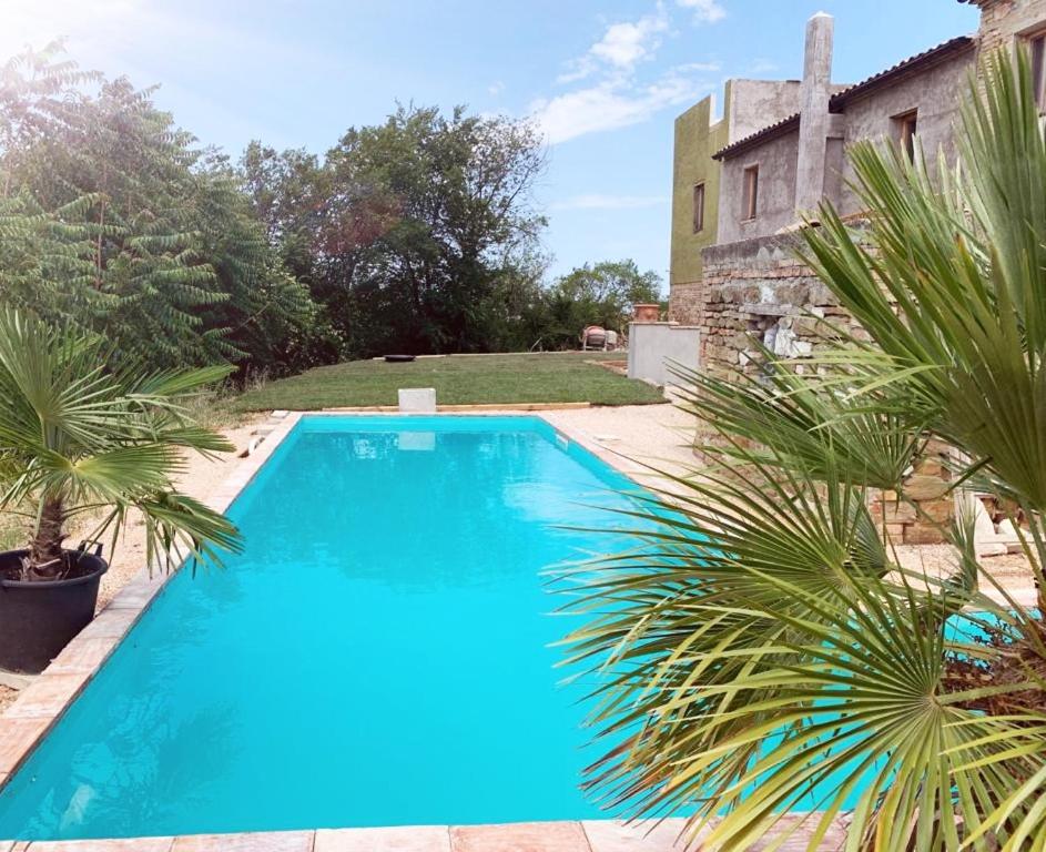 Casa Leone photo 5