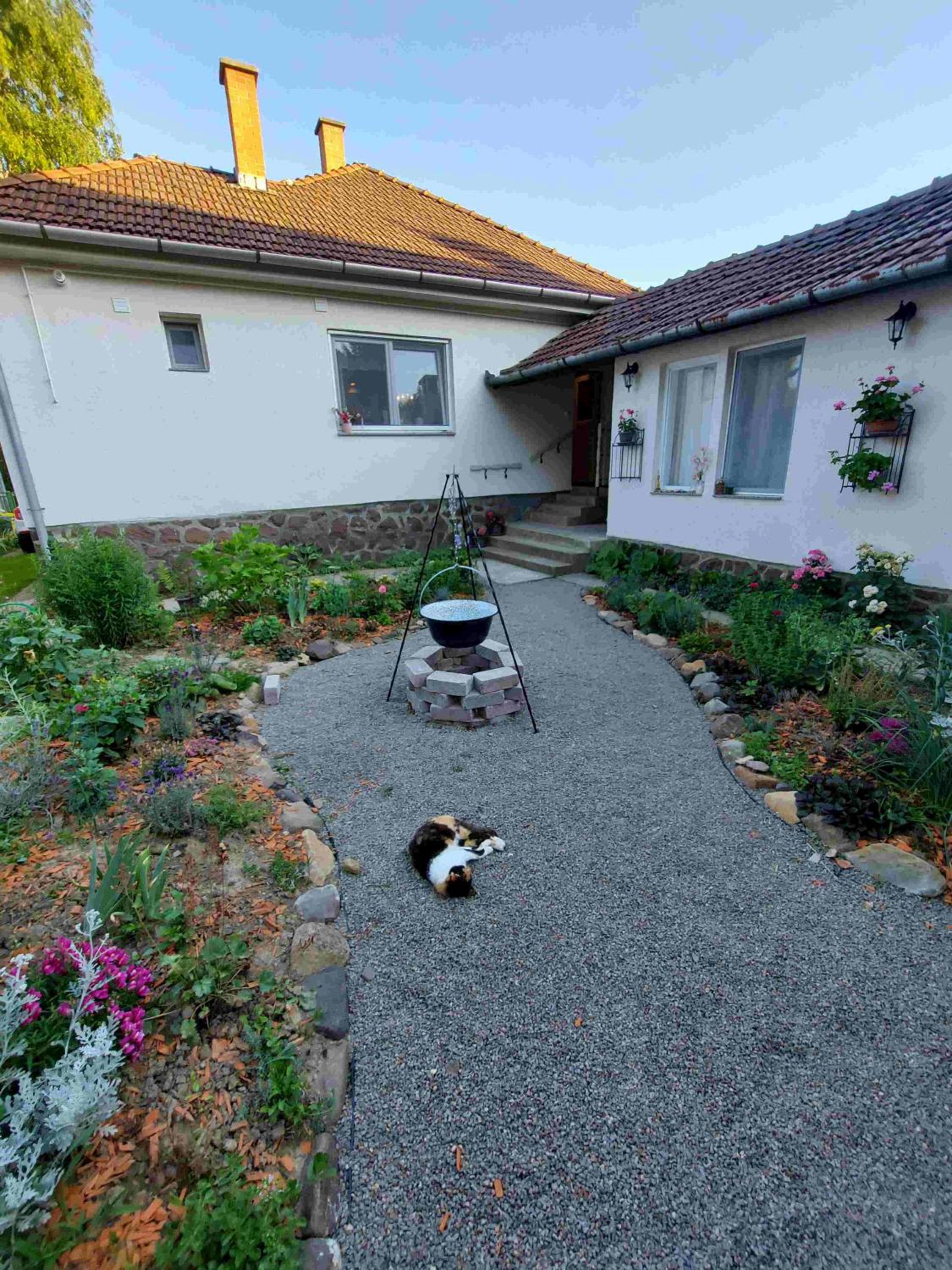 Photo 22