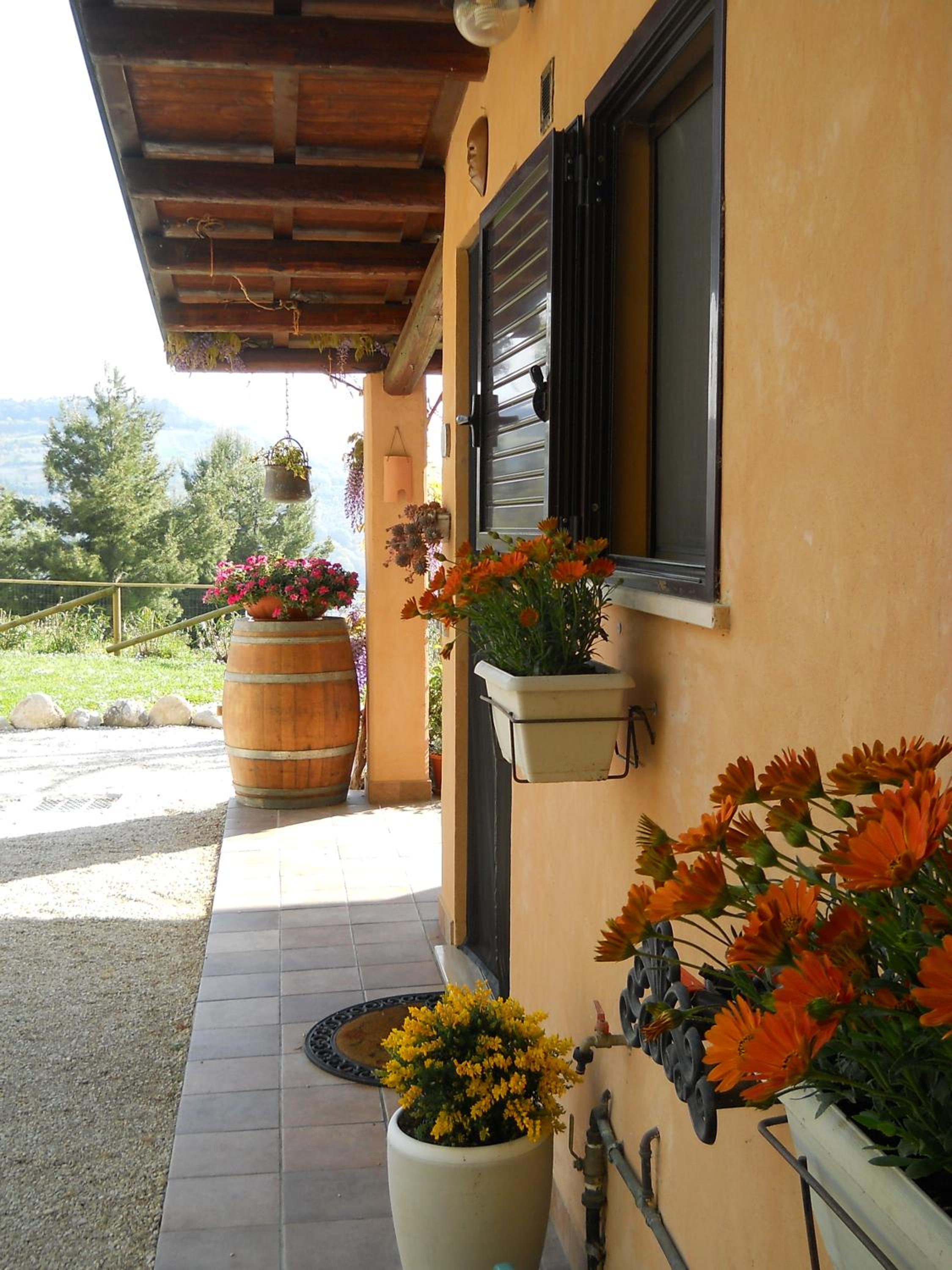 Photo 46