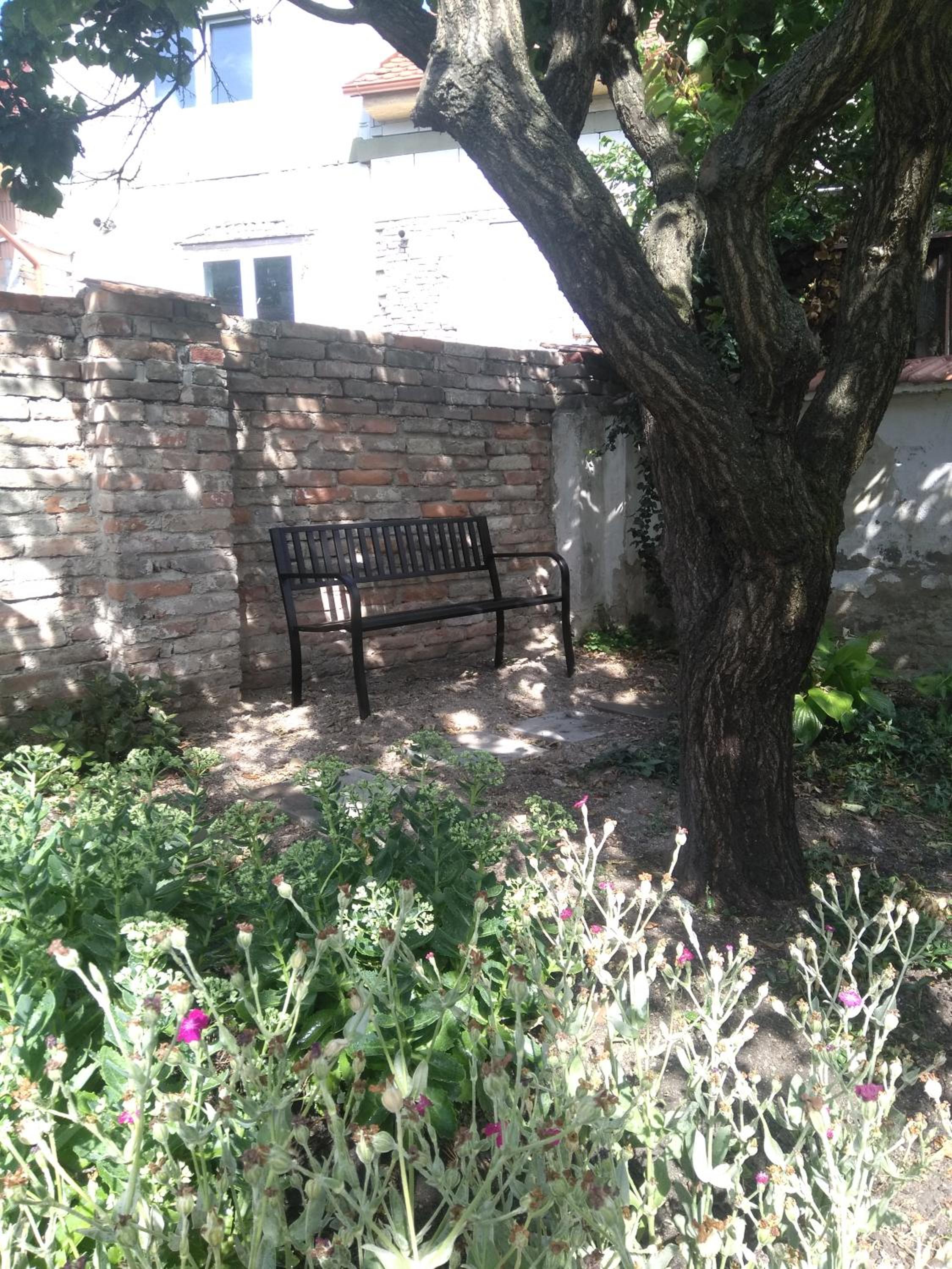 Photo 9