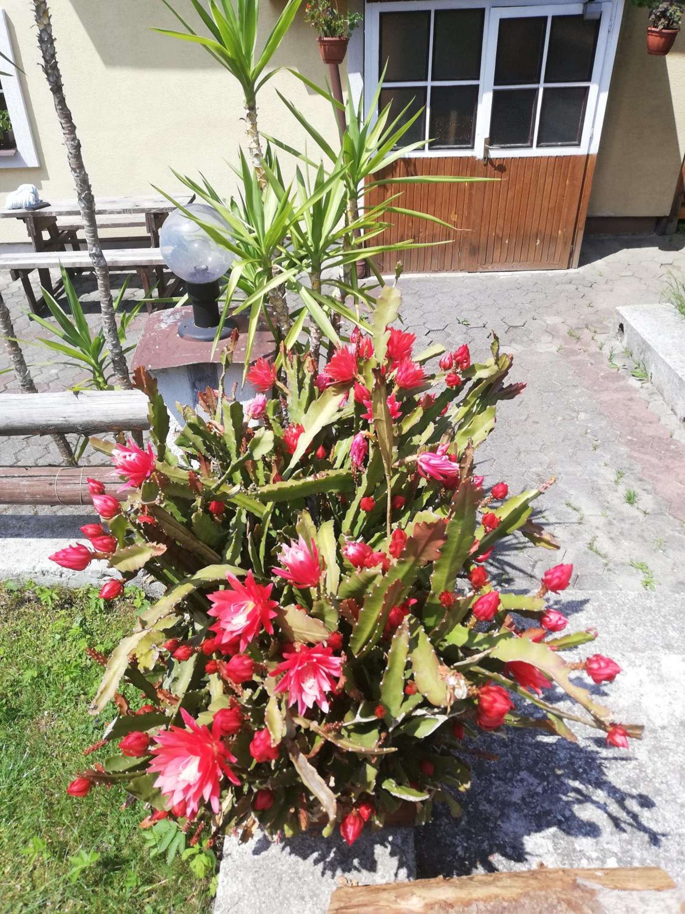 Photo 28