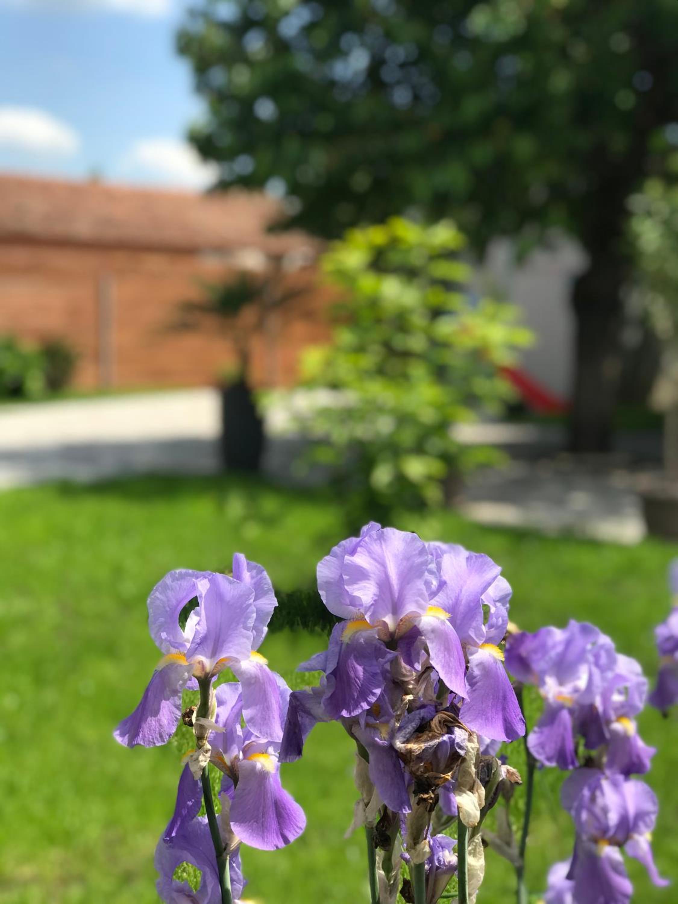 Photo 18