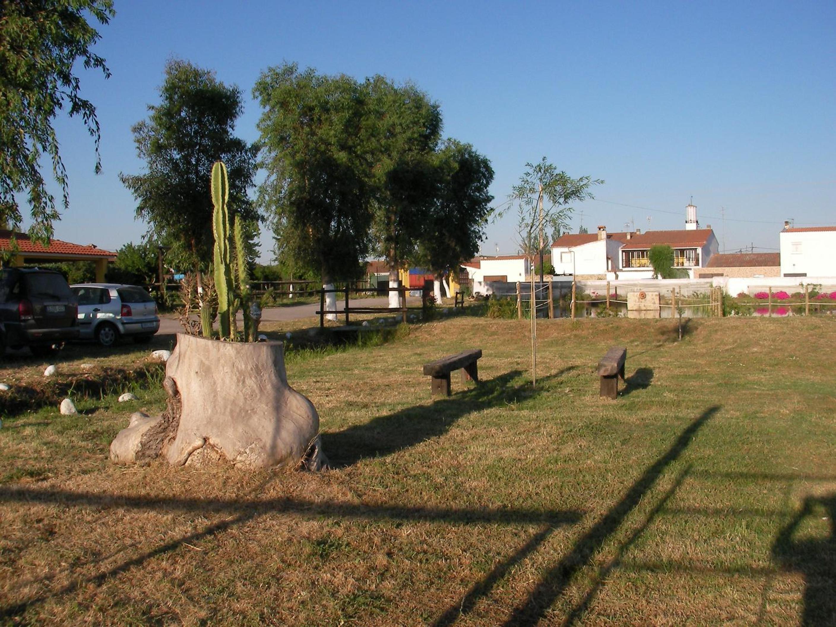 Photo 53