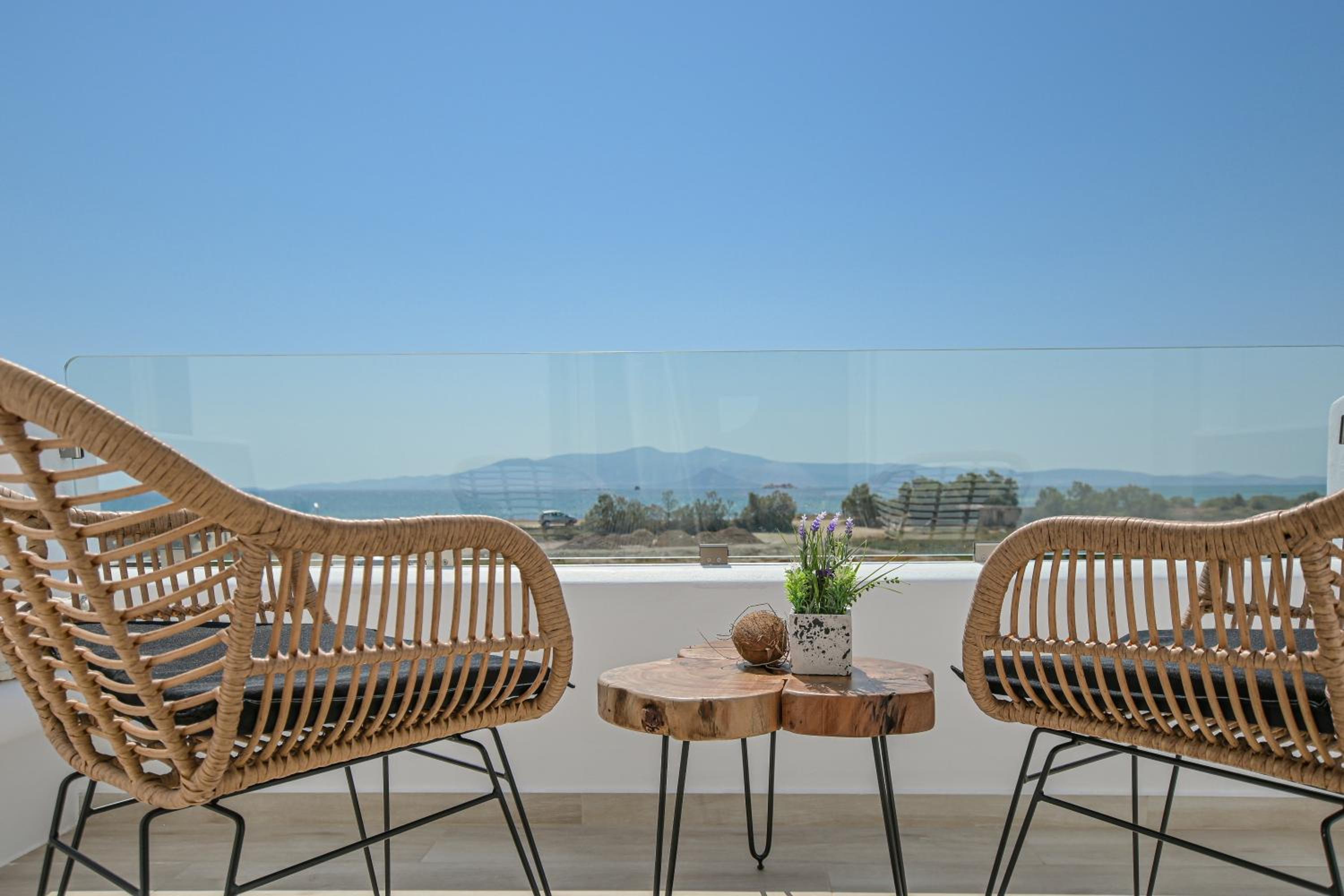 Marine Dream photo 3