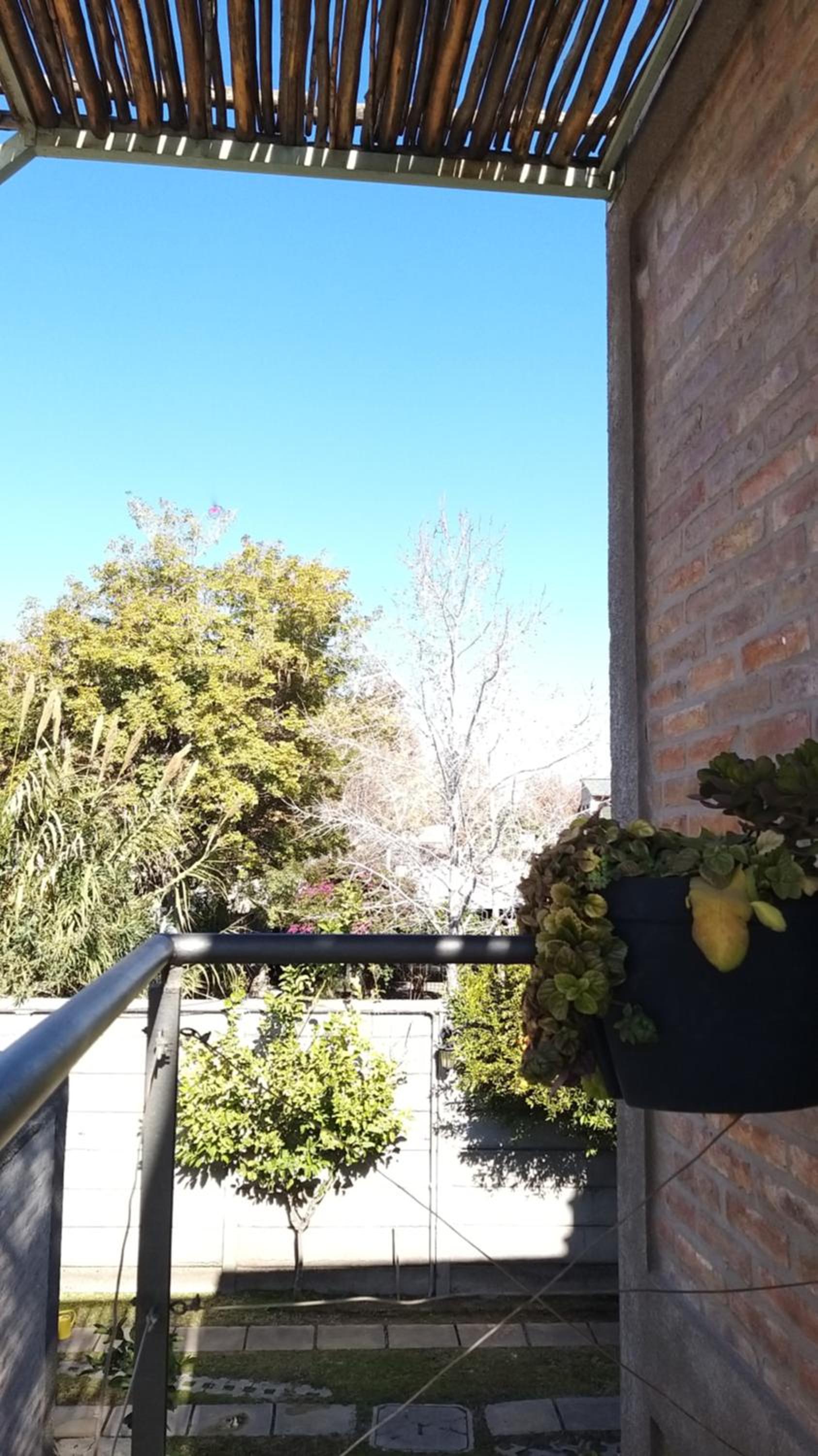 Pequeña Allegra