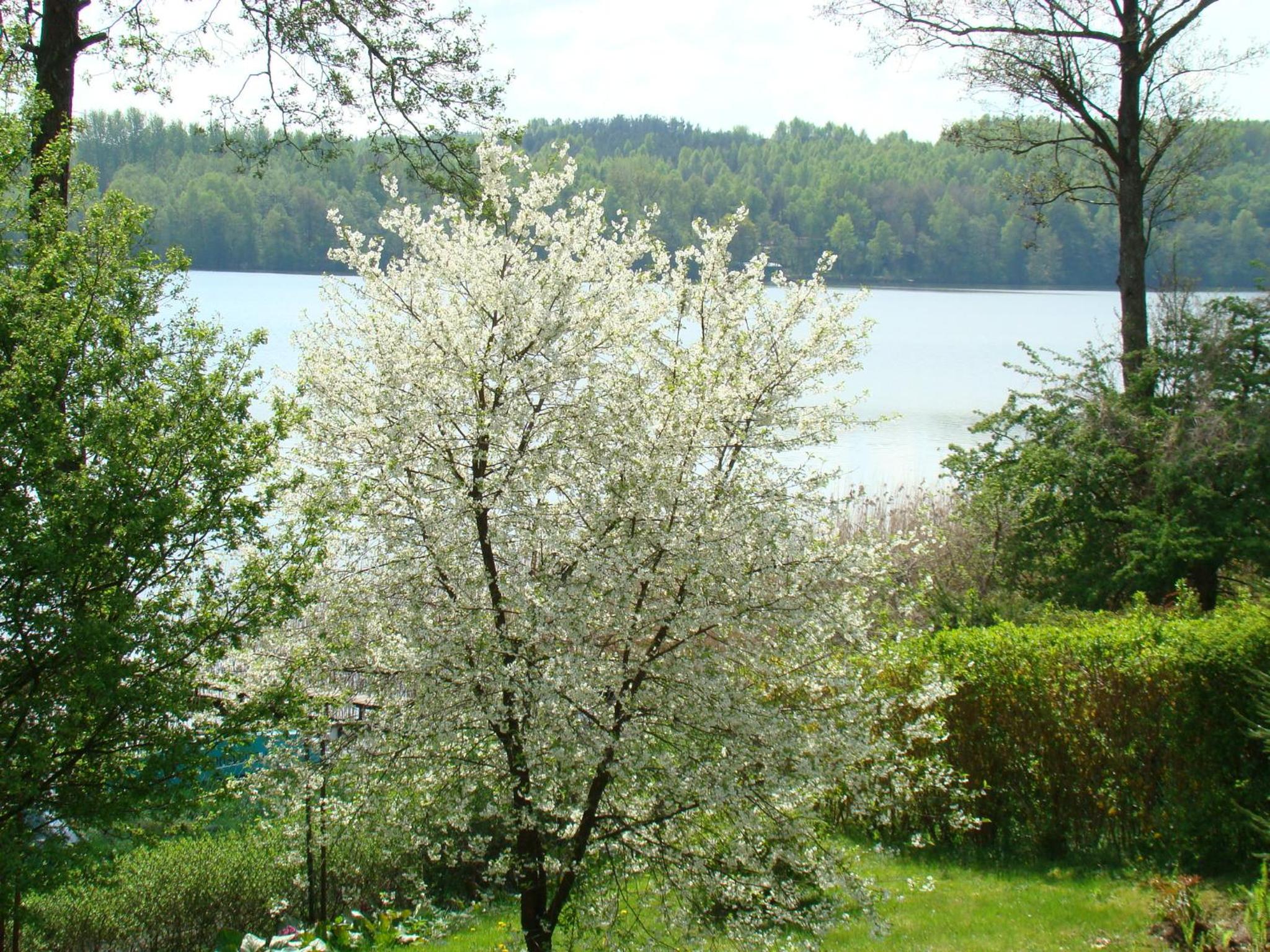 Letnisko Zielony Zakątek view 2