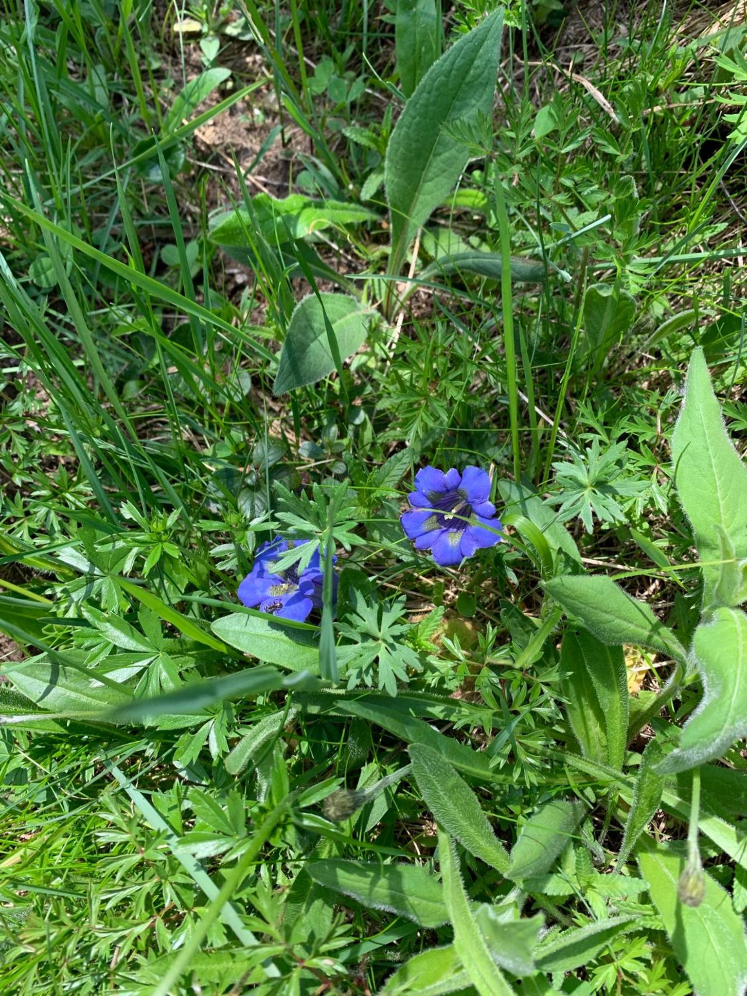 Photo 16