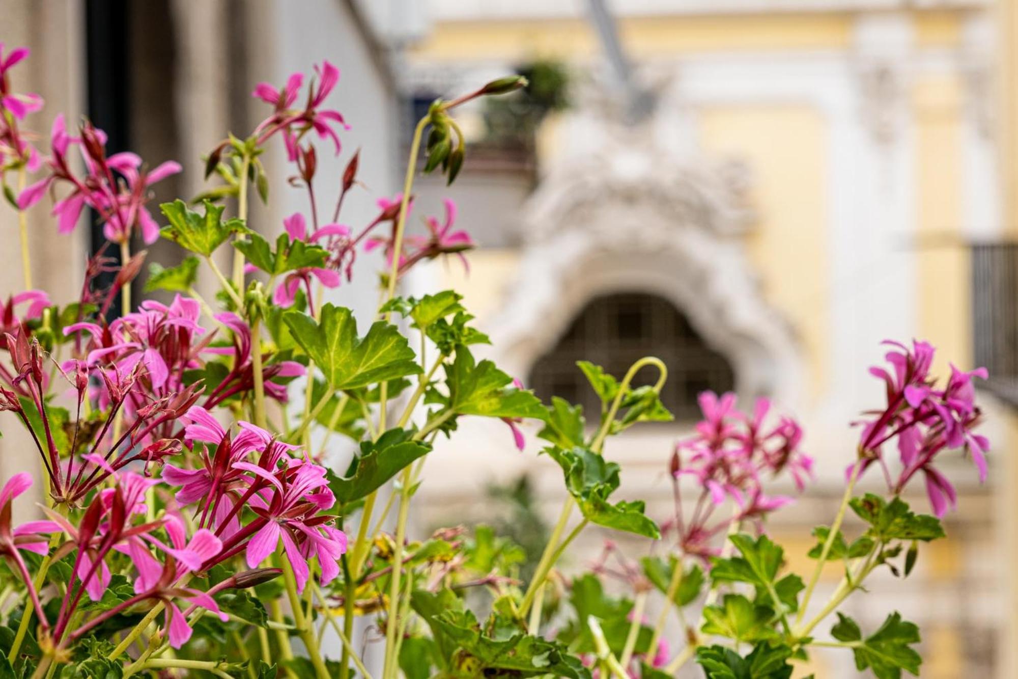 casajammone naples b&b