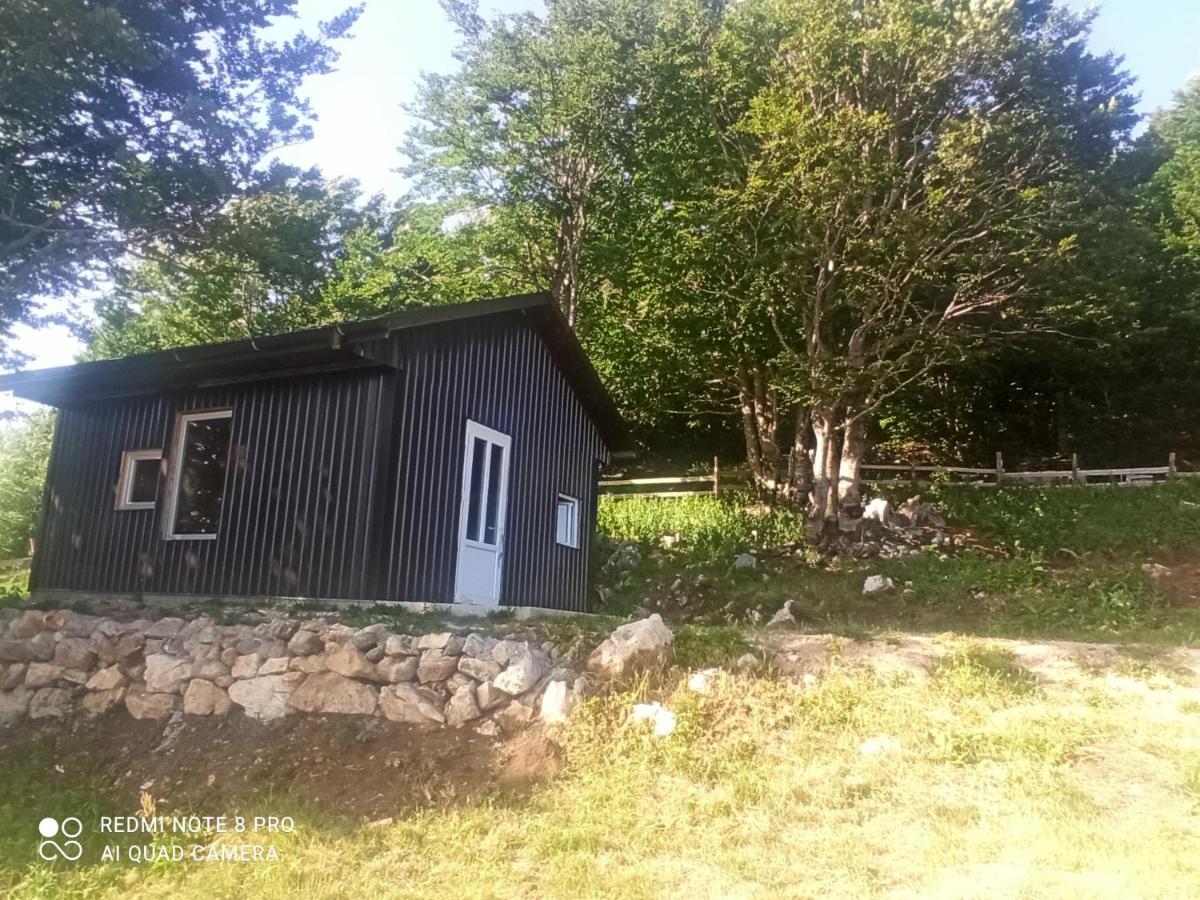 Photo 18
