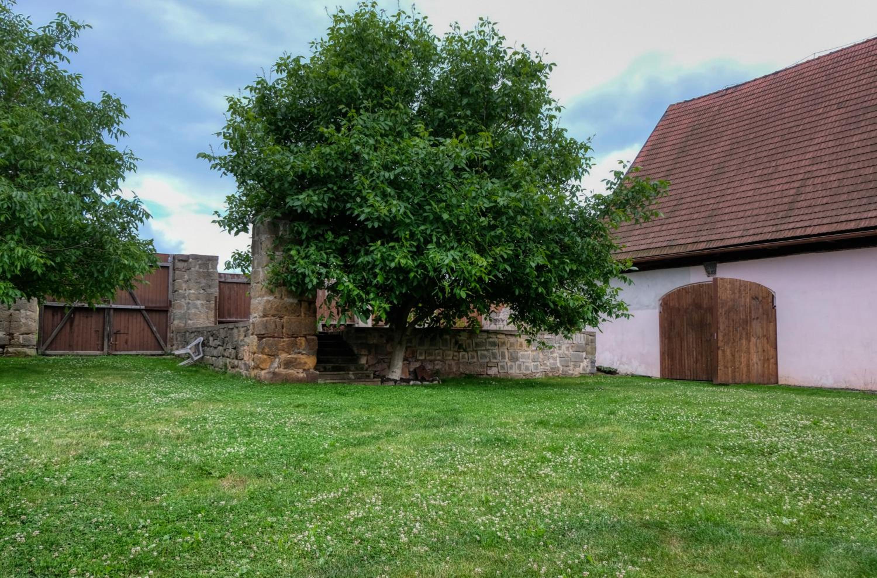 Photo 13