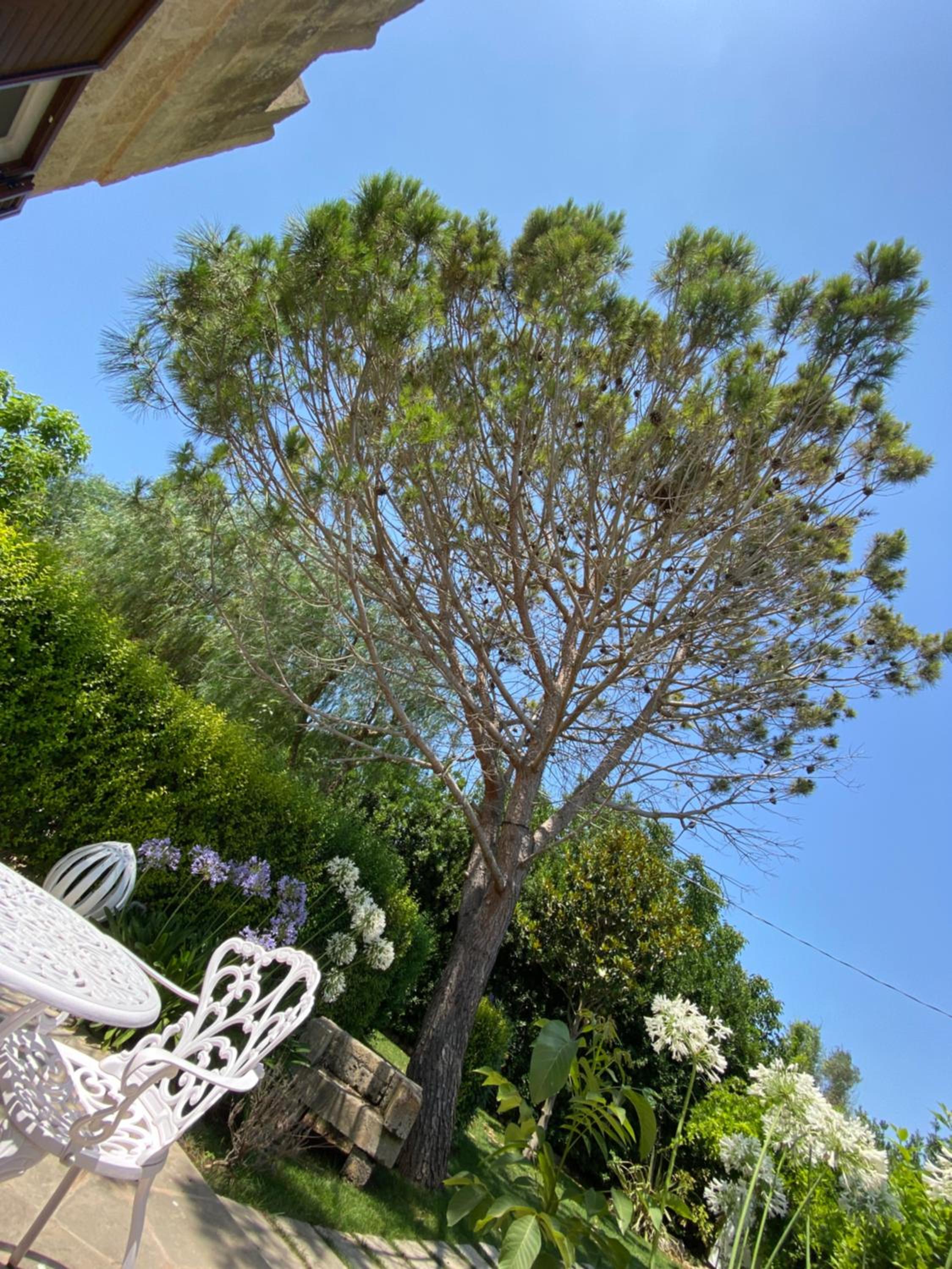 Il Lusso Del Silenzio view 5