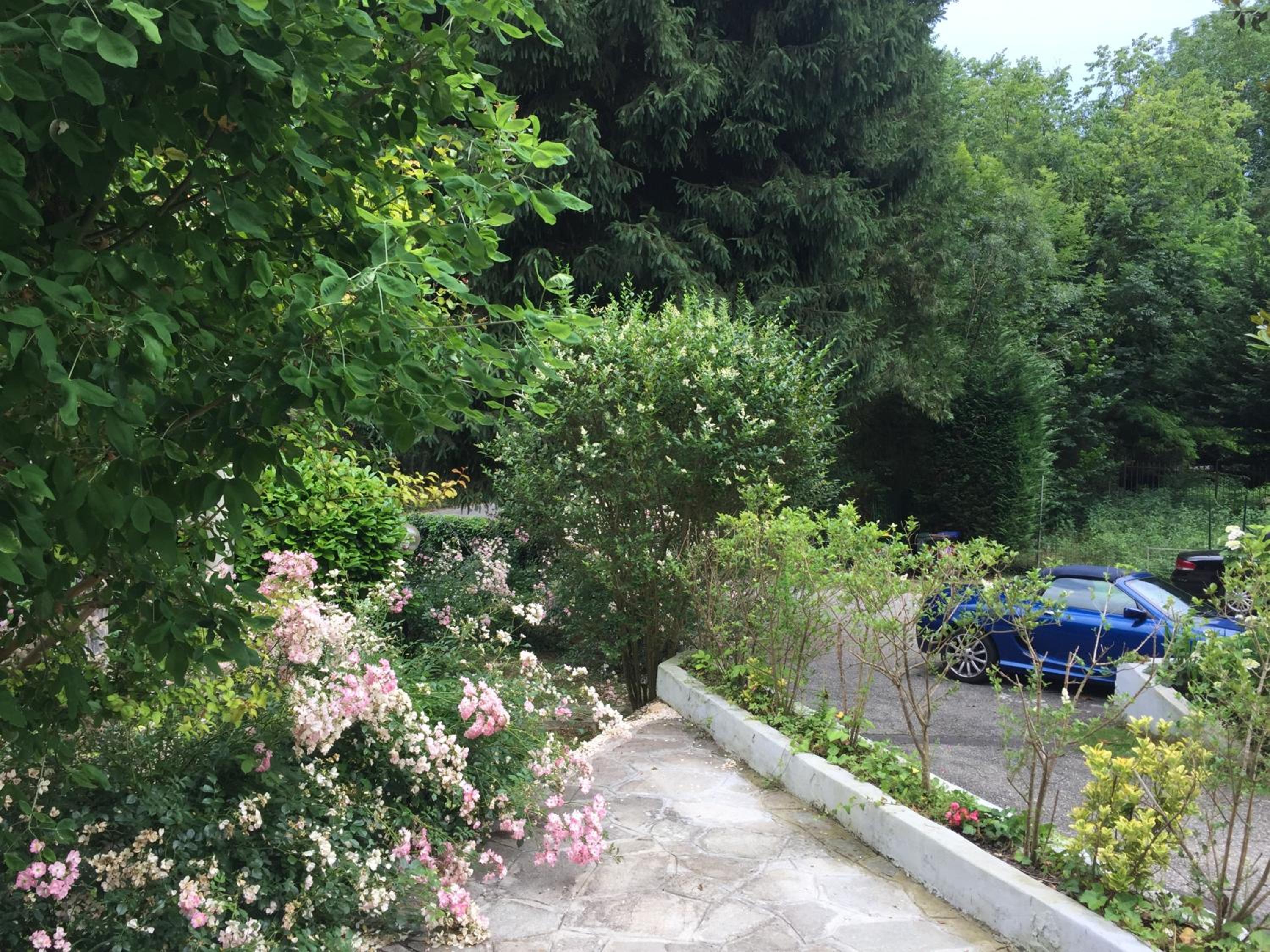 Photo 43