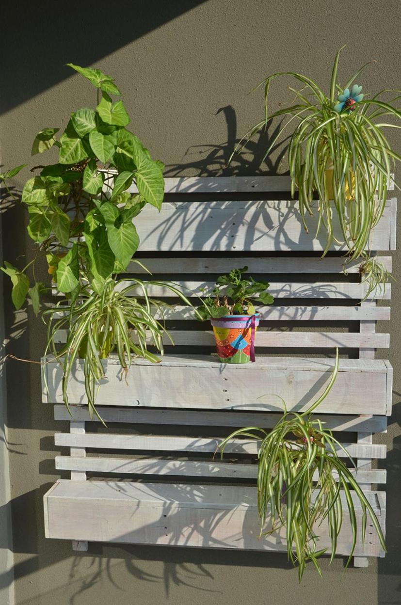 Monoambiente La Pitota