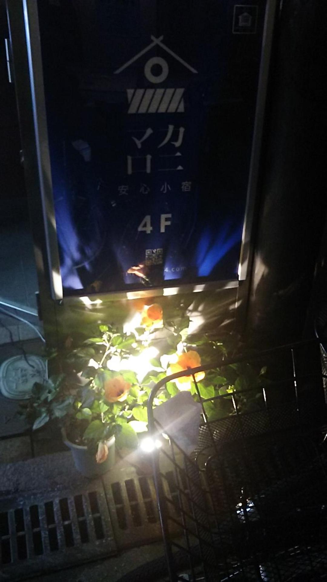 ホテル4Fマカロニ