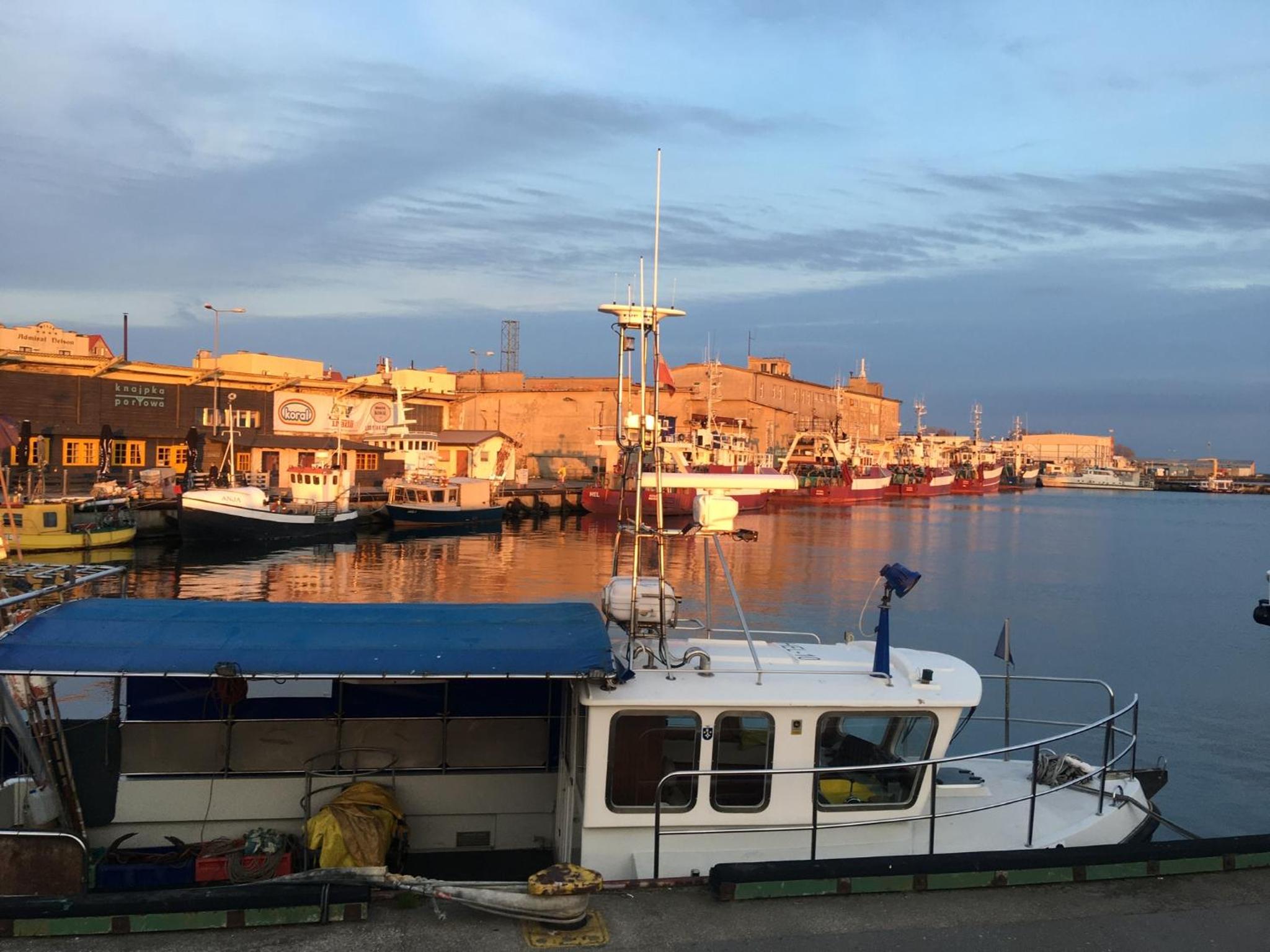 Apartament Seagull 30m2 (300 meters to the sea) view 3
