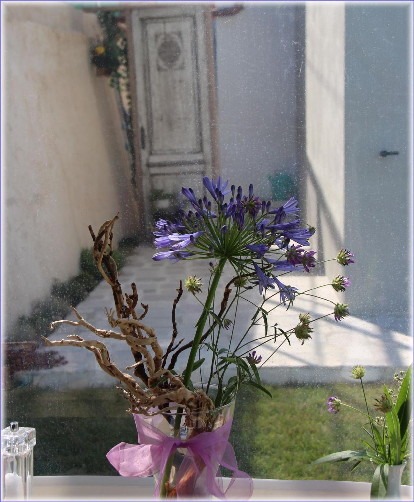 Photo 65
