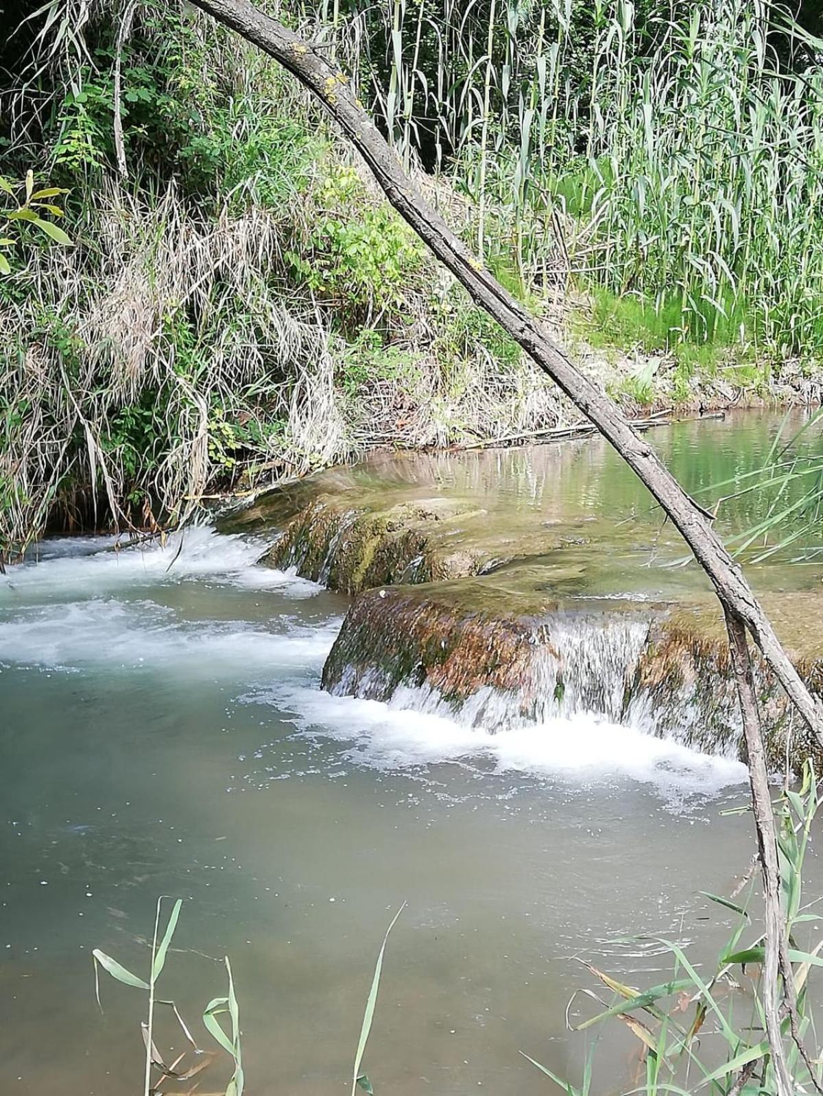 Photo 46