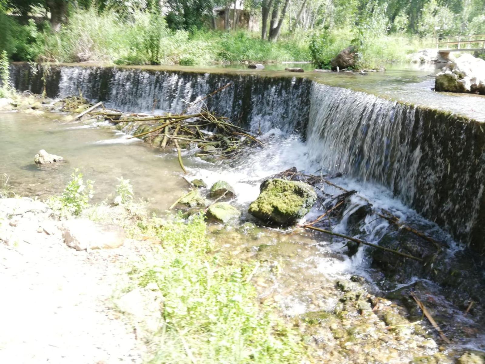 Photo 45